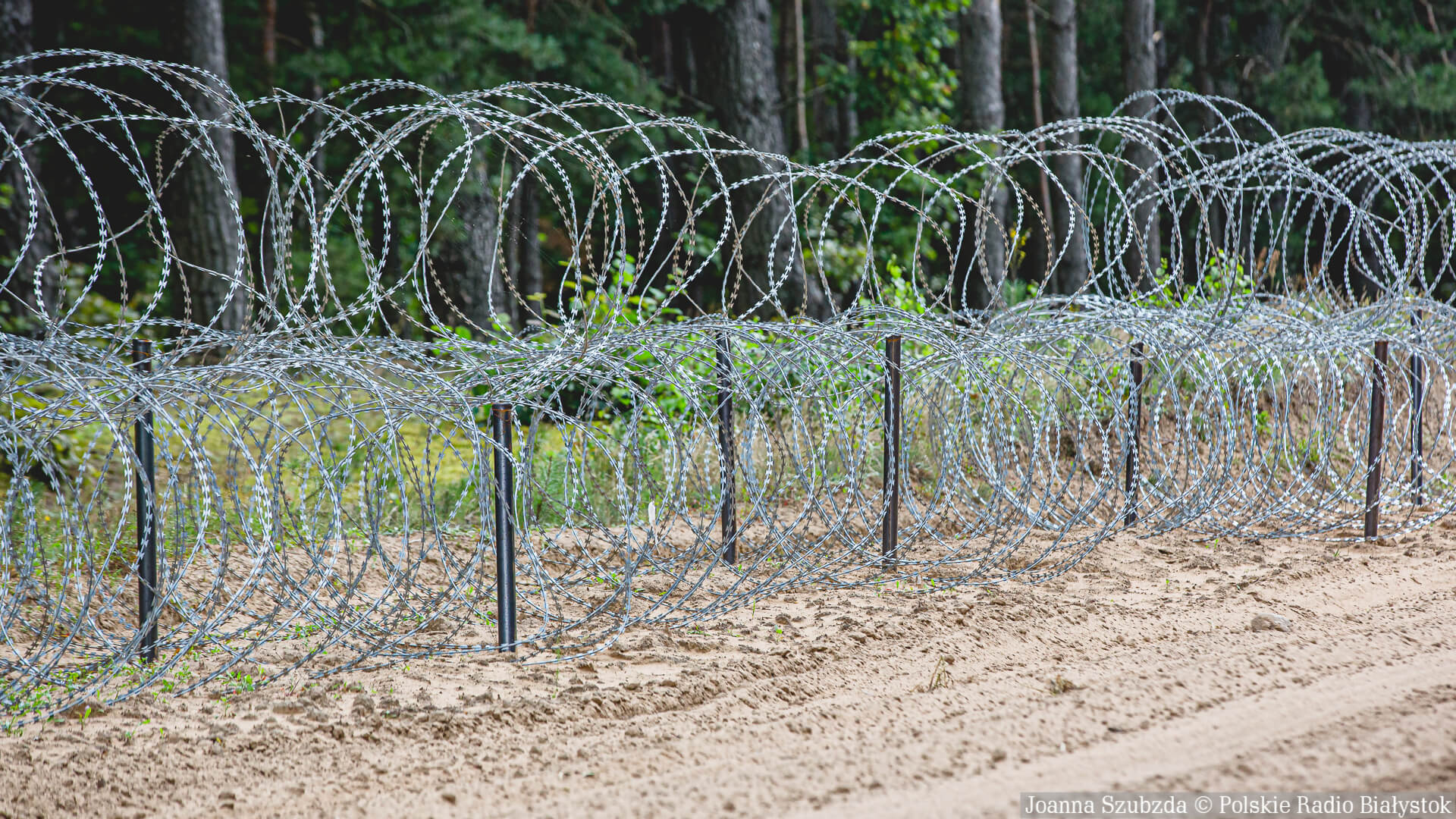 Zwłoki młodego obcokrajowca odnaleziono w lesie niedaleko granicy - informuje policja