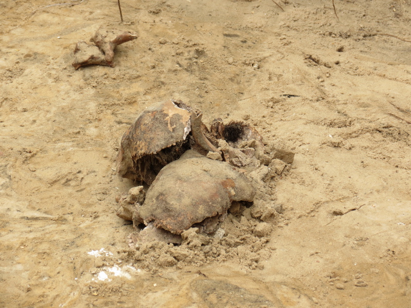 Białystok:  Kolejne szczątki odkryte w śledztwie IPN dotyczącym zbrodni UB