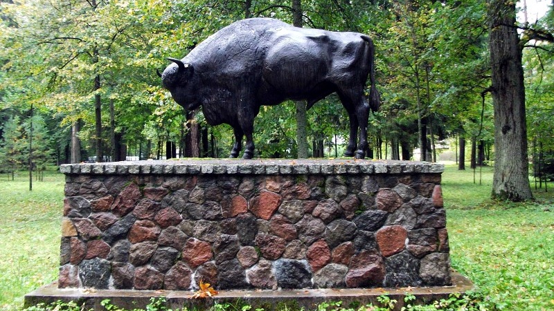 Michał Krzysiak nowym dyrektorem Białowieskiego Parku Narodowego