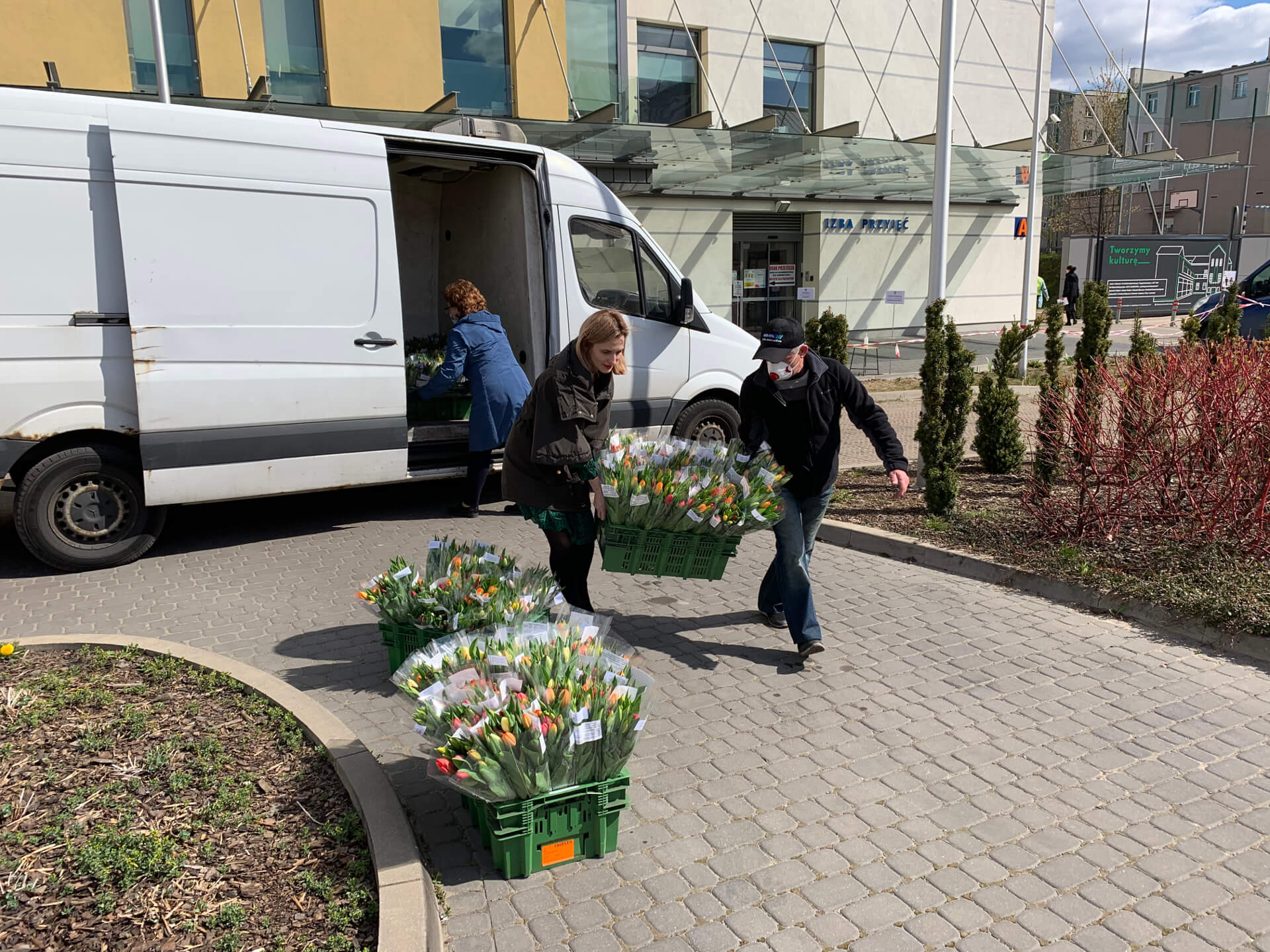 Pięć tysięcy tulipanów dostali pracownicy Białostockiego Centrum Onkologii