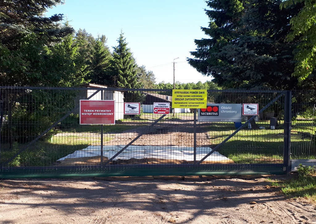 Kolejne ognisko ASF - w gospodarstwie jest blisko 6 tys. świń