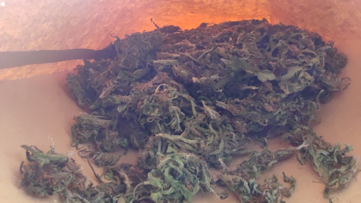 Marihuana, krzewy konopi i broń. W powiecie siemiatyckim policja zatrzymała małżeństwo