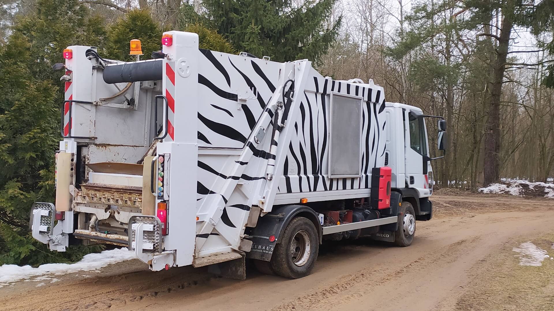 Do Suchowoli z ZOO trafiła "zebra"