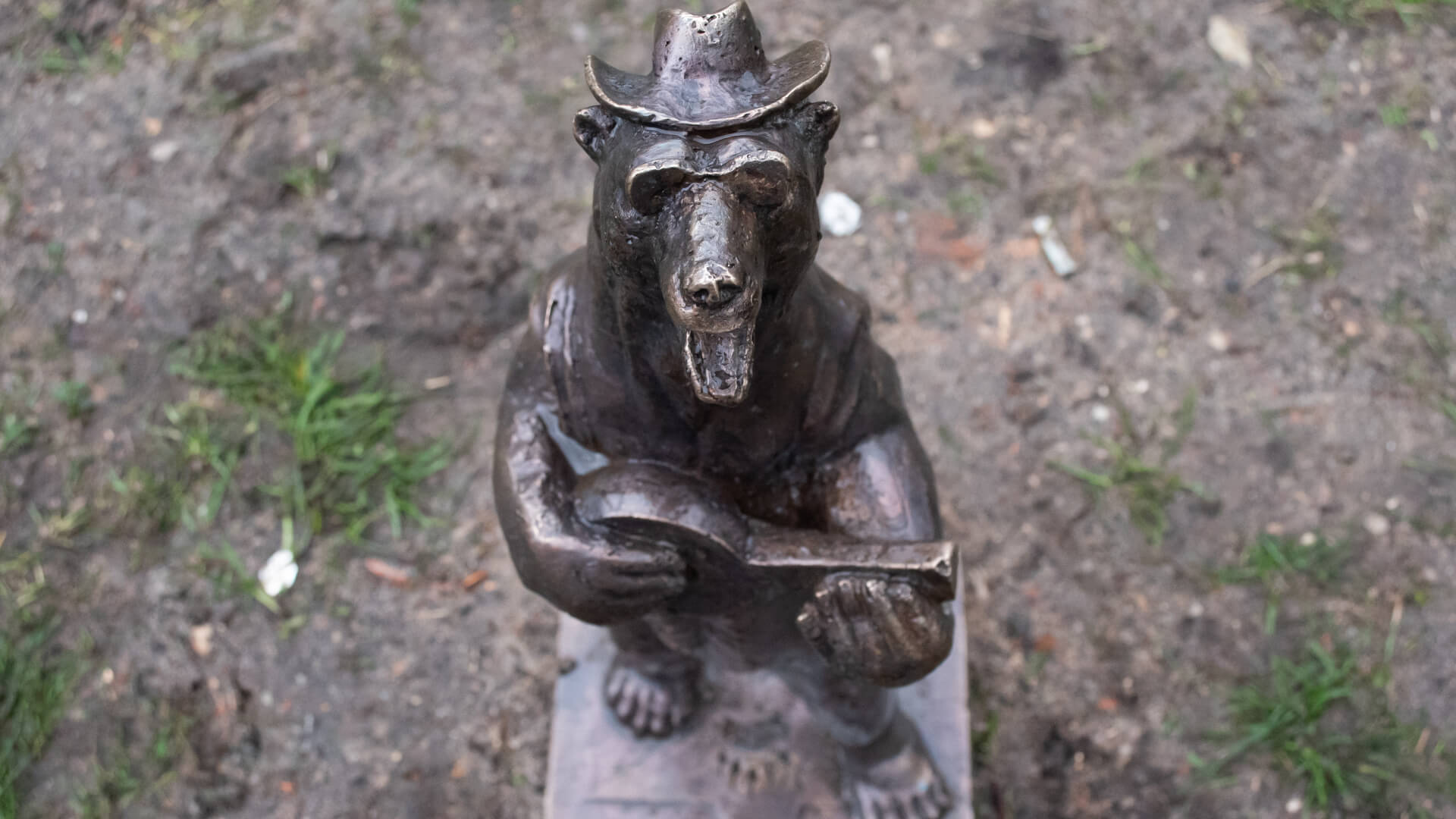 Czy WidziMisie przypadły do gustu białostoczanom i turystom? [zdjęcia]