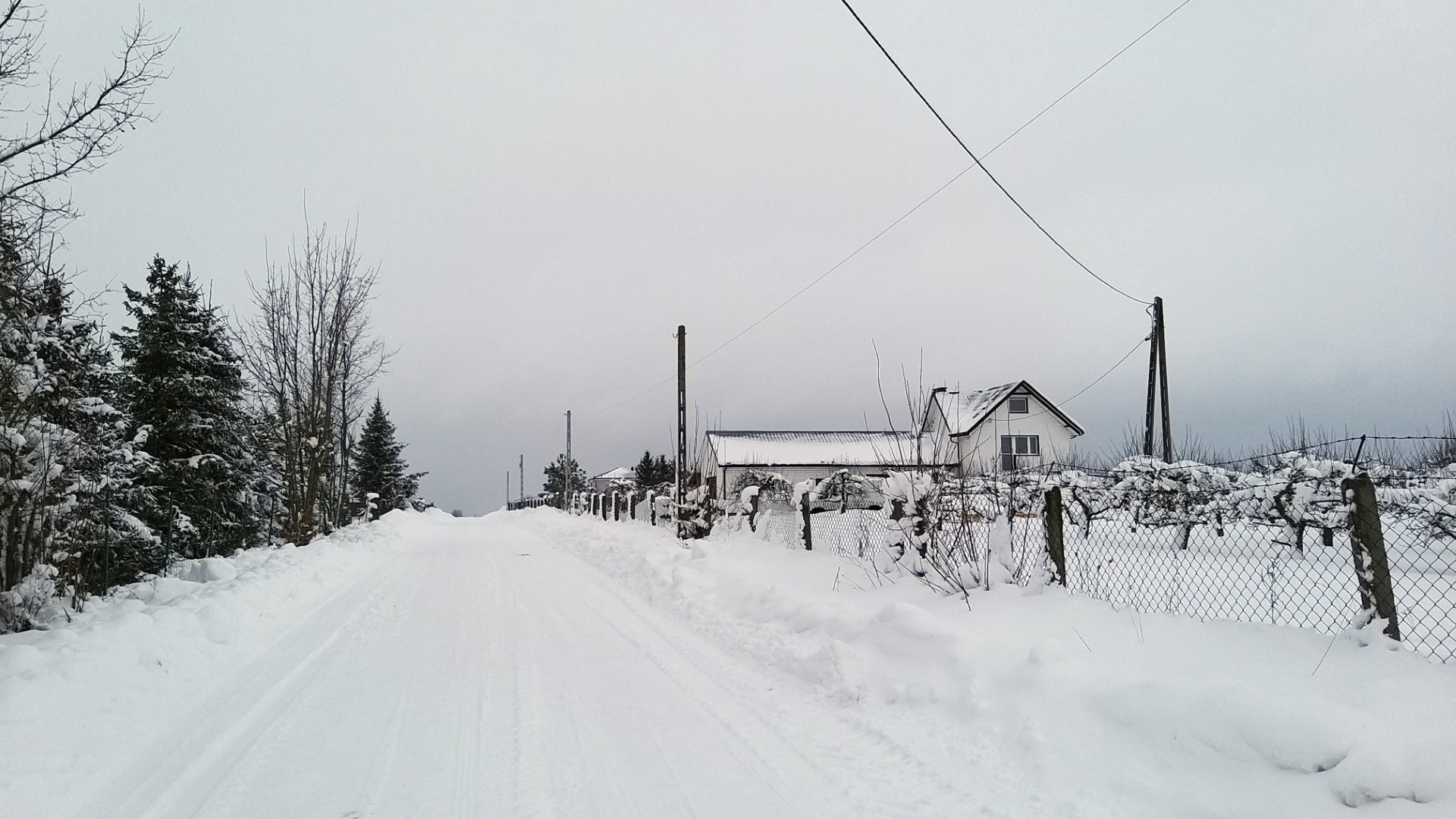 W Podlaskiem nie ma już masowych awarii energetycznych po opadach śniegu z początku tygodnia