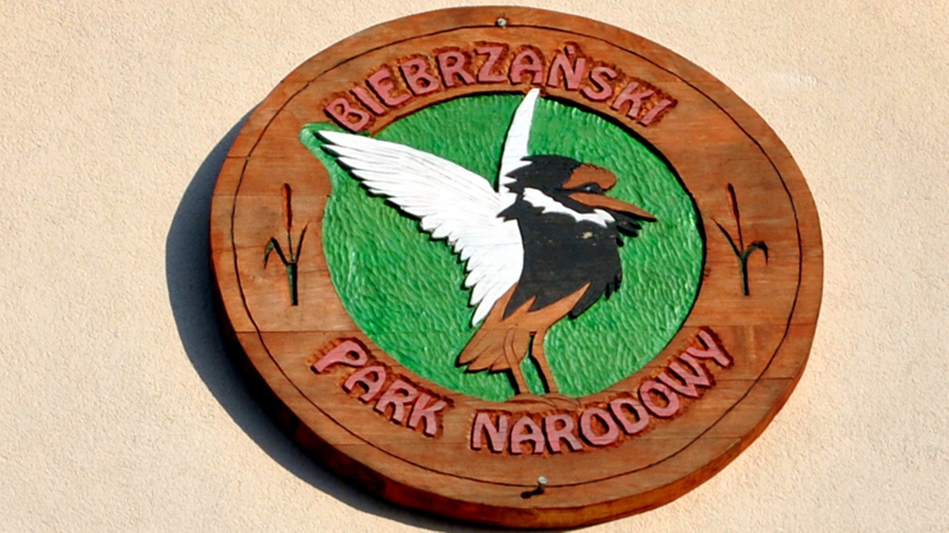 Spacer ścieżką edukacyjną Barwik w Biebrzańskim Parku Narodowym