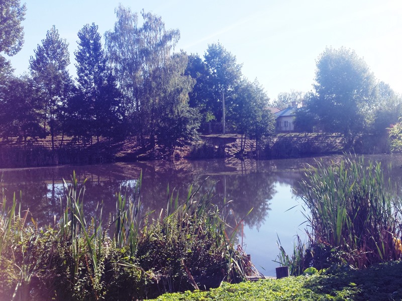 Śnięte ryby i nieprzyjemny zapach na osiedlu Bema