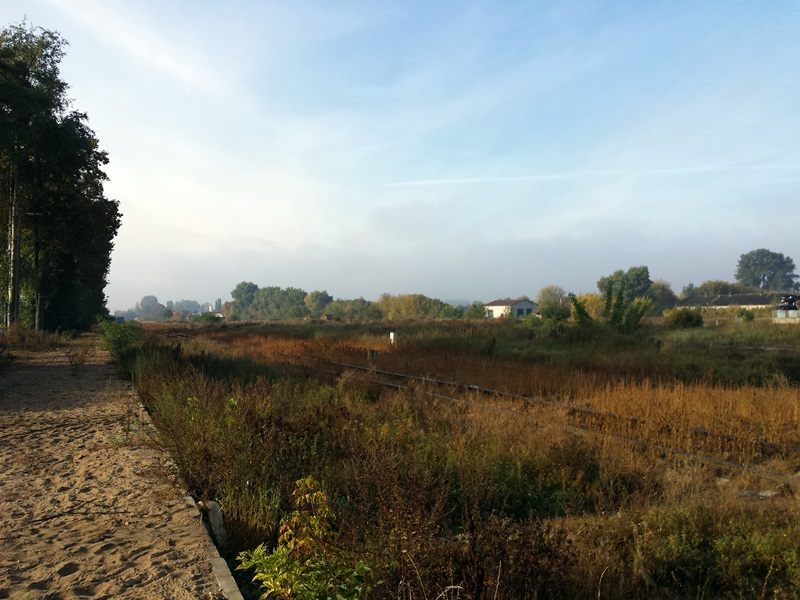 Podlaskie samorządy mogą się starać o pieniądze na tereny inwestycyjne