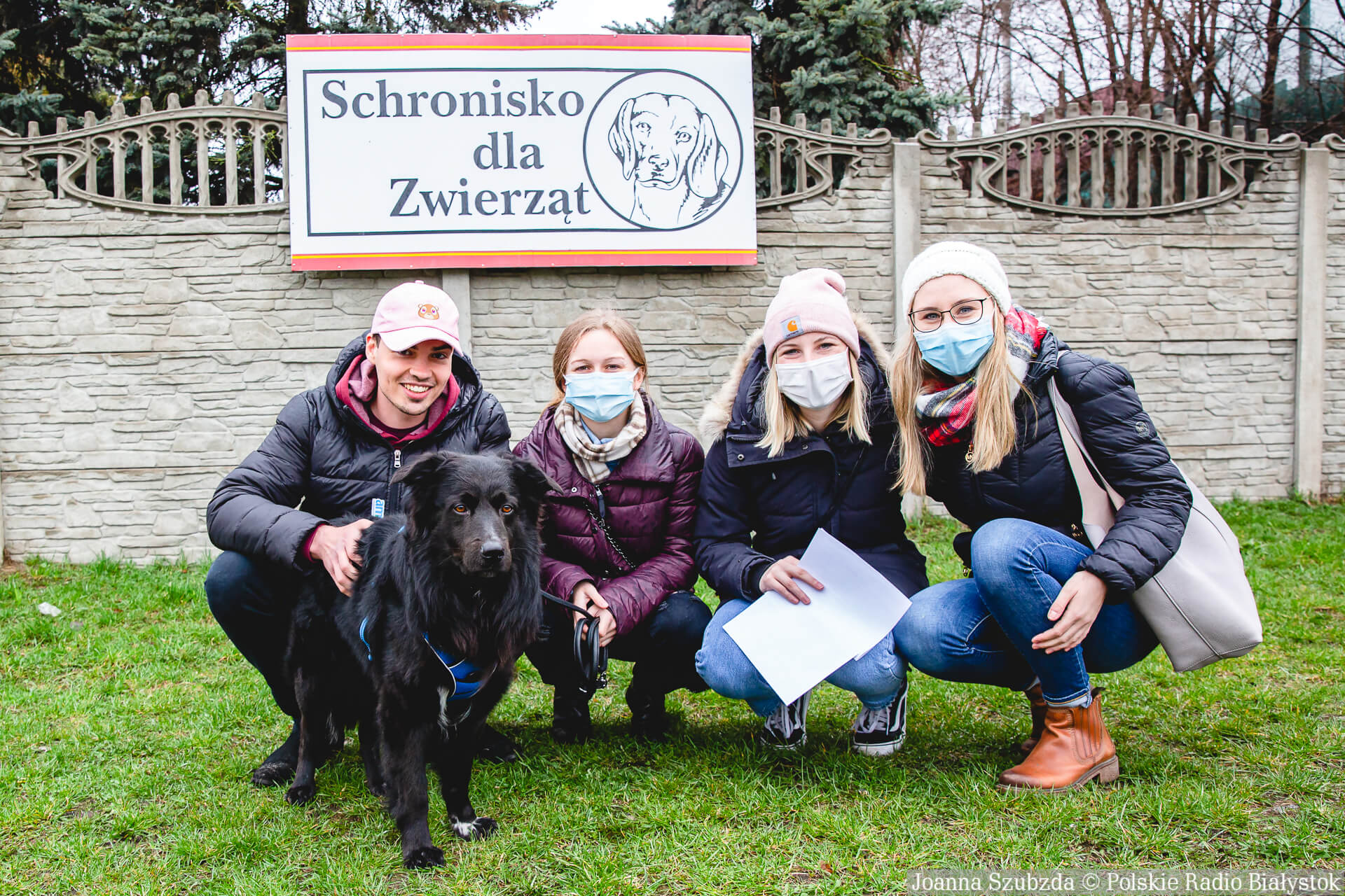 Kilkanaście psów z białostockiego schroniska zostało na stałe w domach tymczasowych