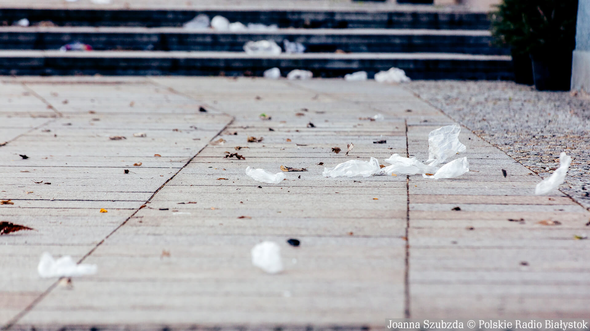 Ekspert: maseczki i rękawice nie spowodują lawinowego wzrostu masy odpadów