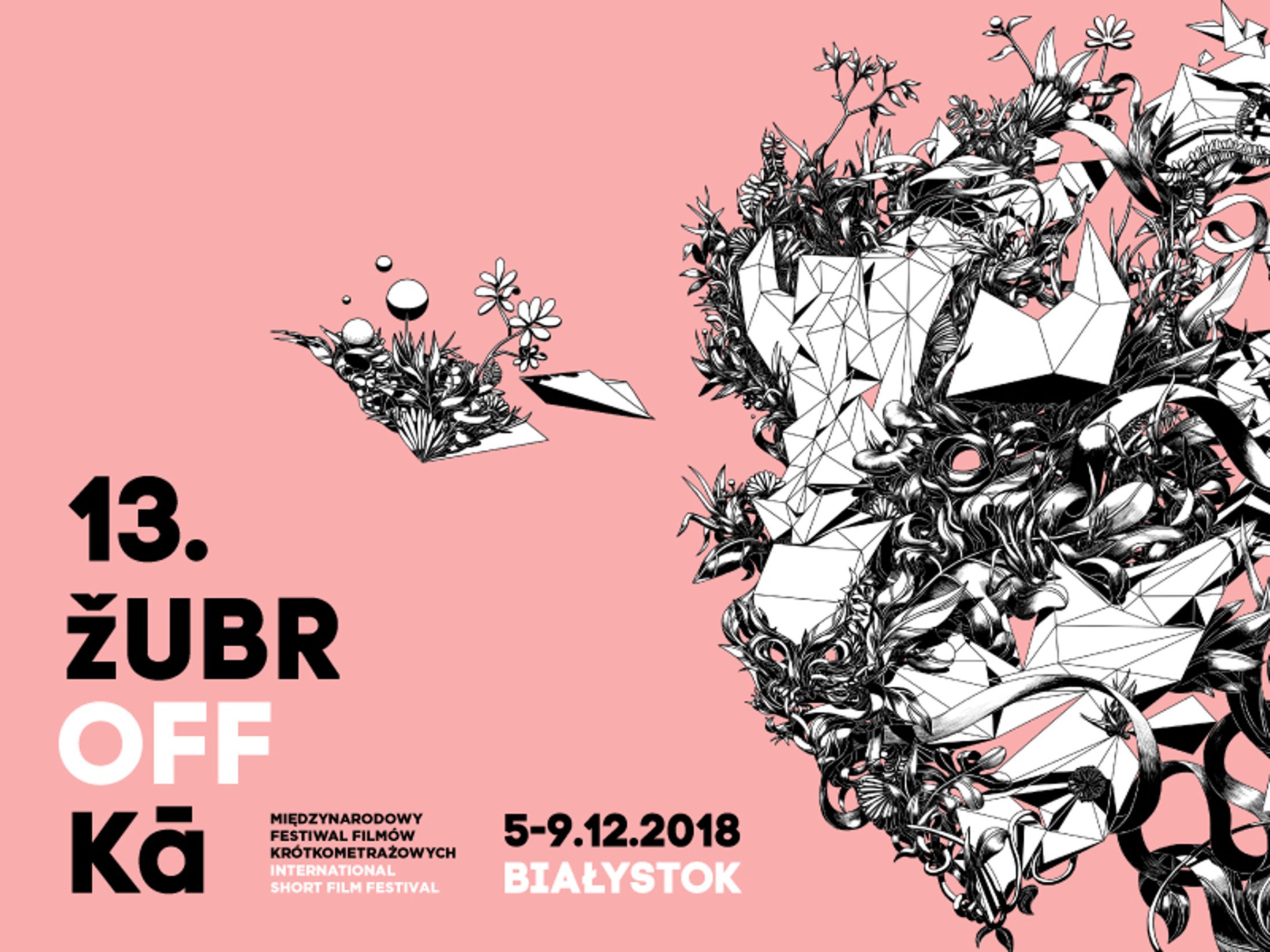 Zubroffka 2018 !pod powierzchnią!