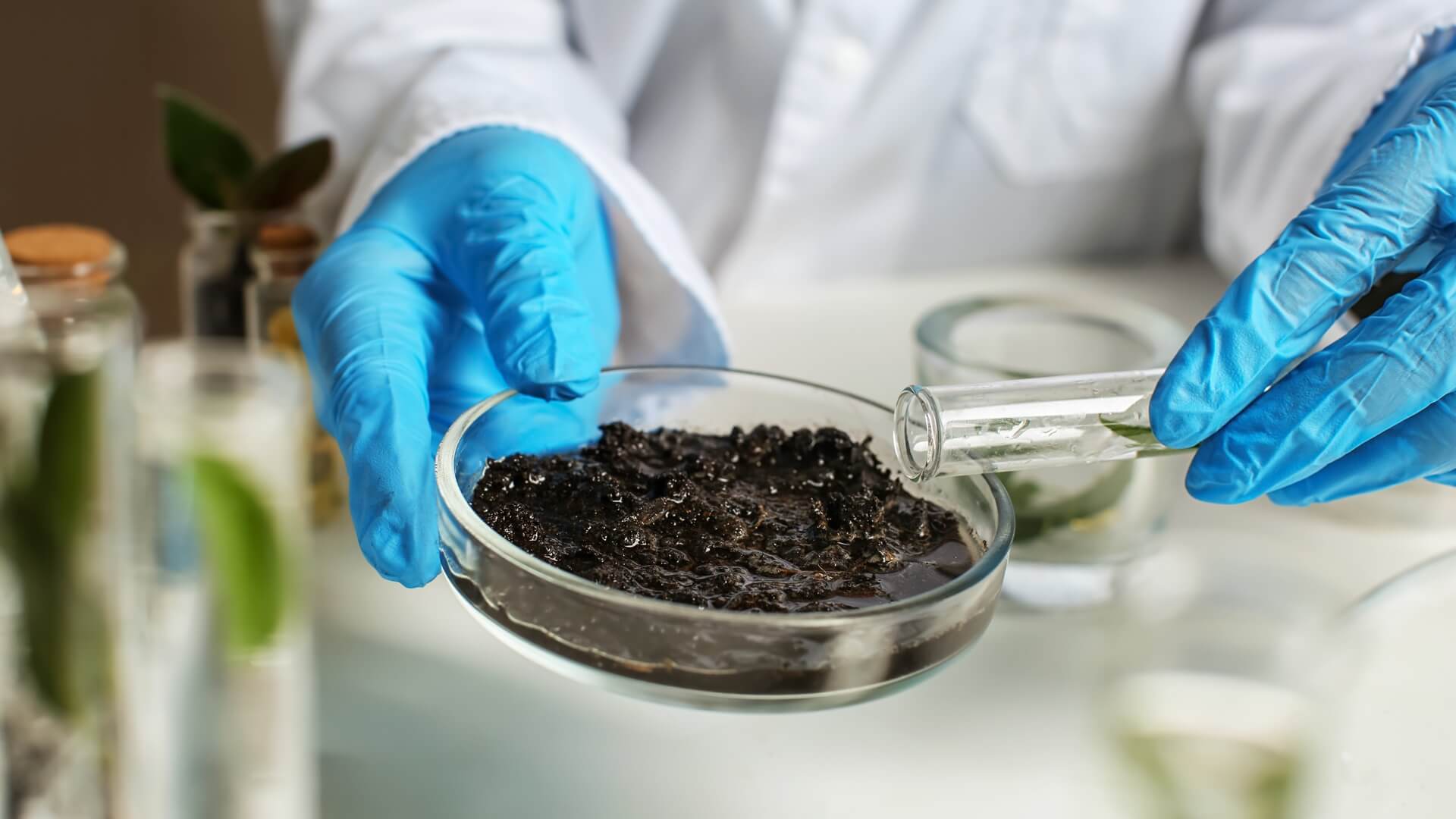 Skażona gleba na jednej z działek w Łapach - prokuratura nie zajmie się sprawą