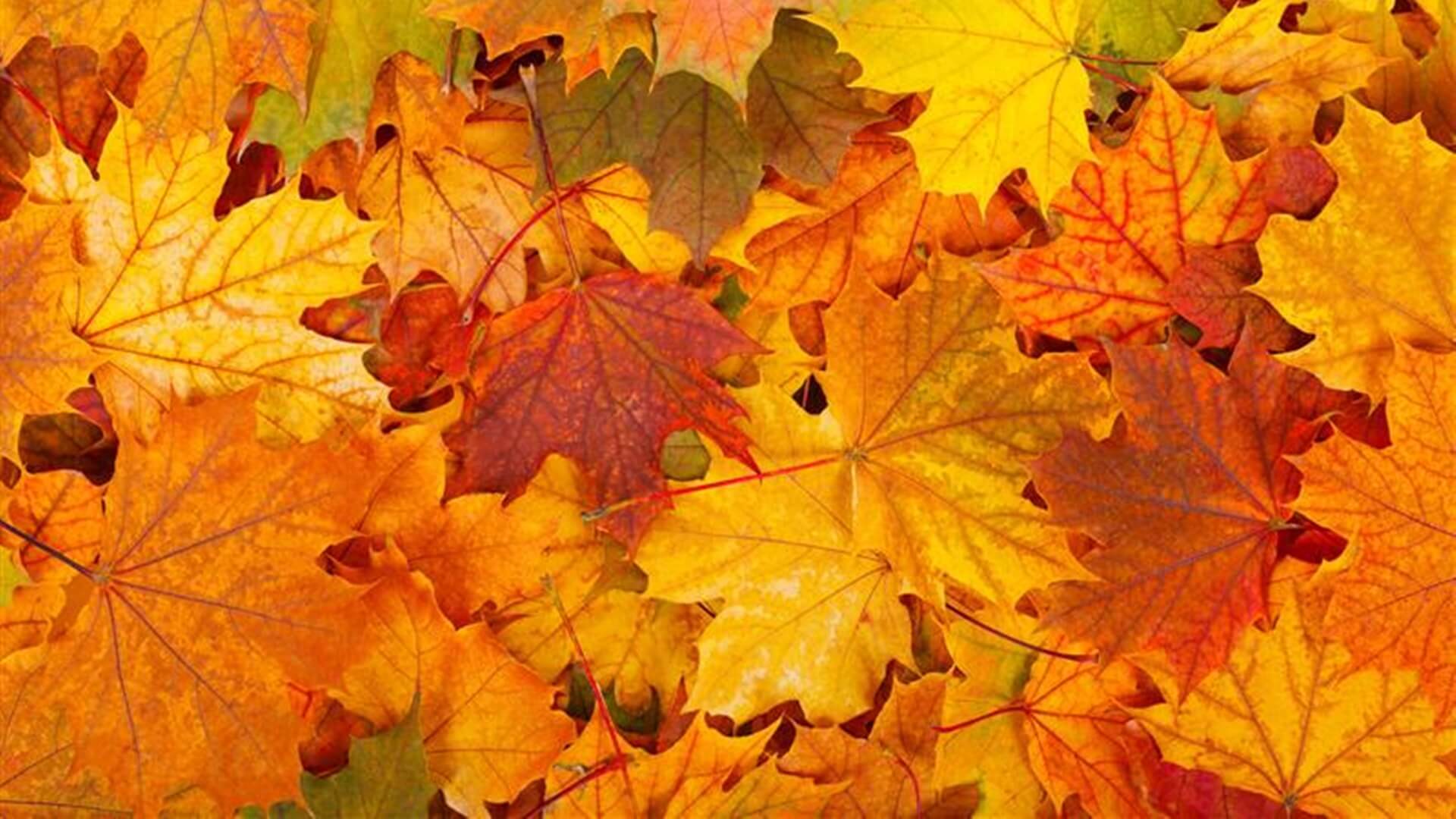 Jesienna odsłona Suwalskiego Parku Krajobrazowego