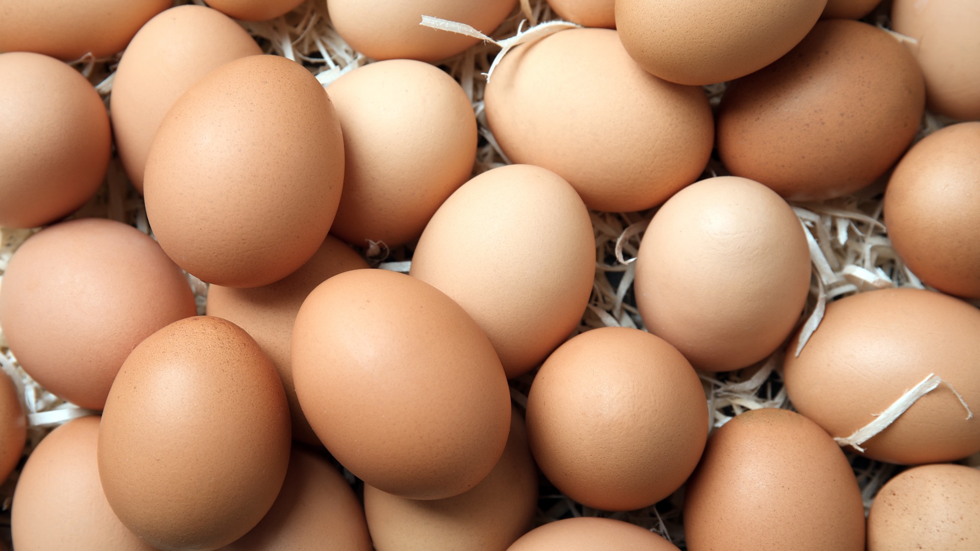 Budowa kolejnej kurzej fermy spotkała się z protestem mieszkańców