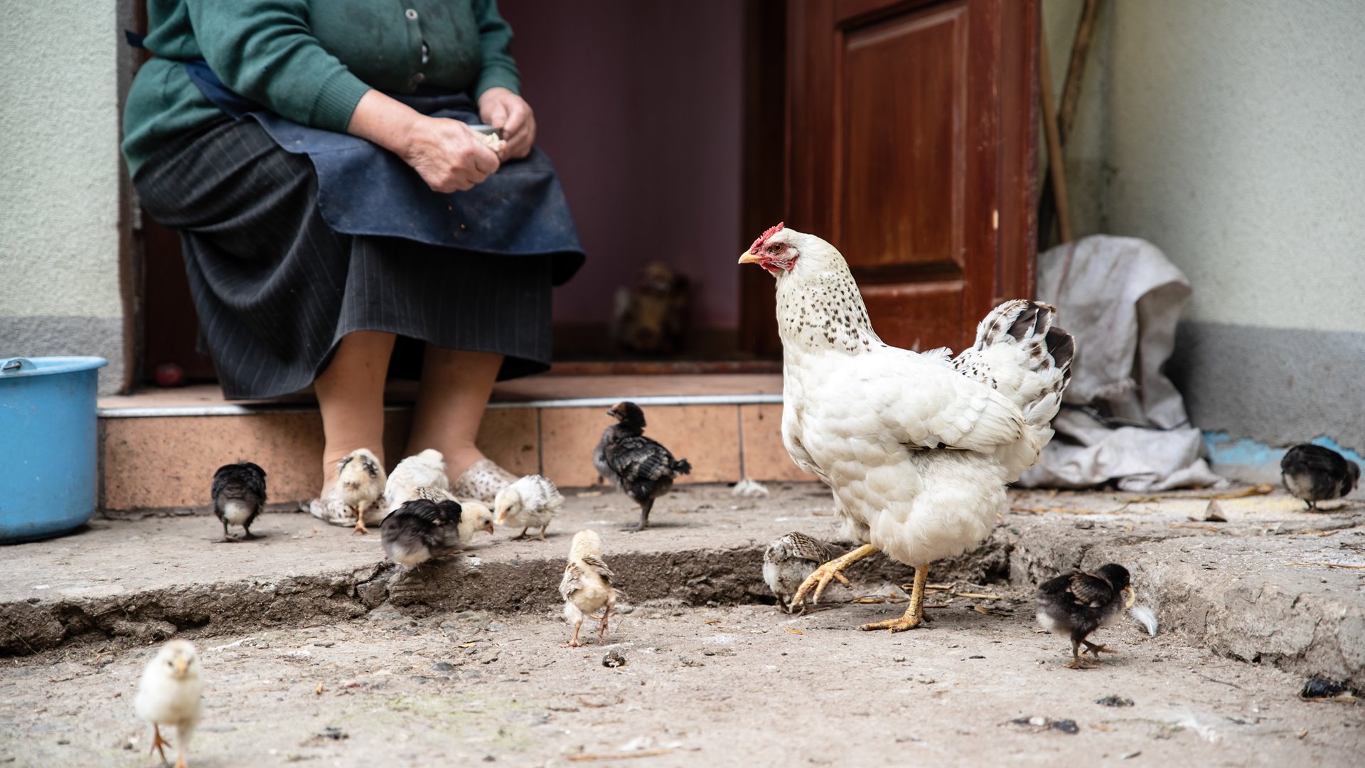 Świat według przedszkolaków - tata ma 5 tysięcy, a babcia 12 lat
