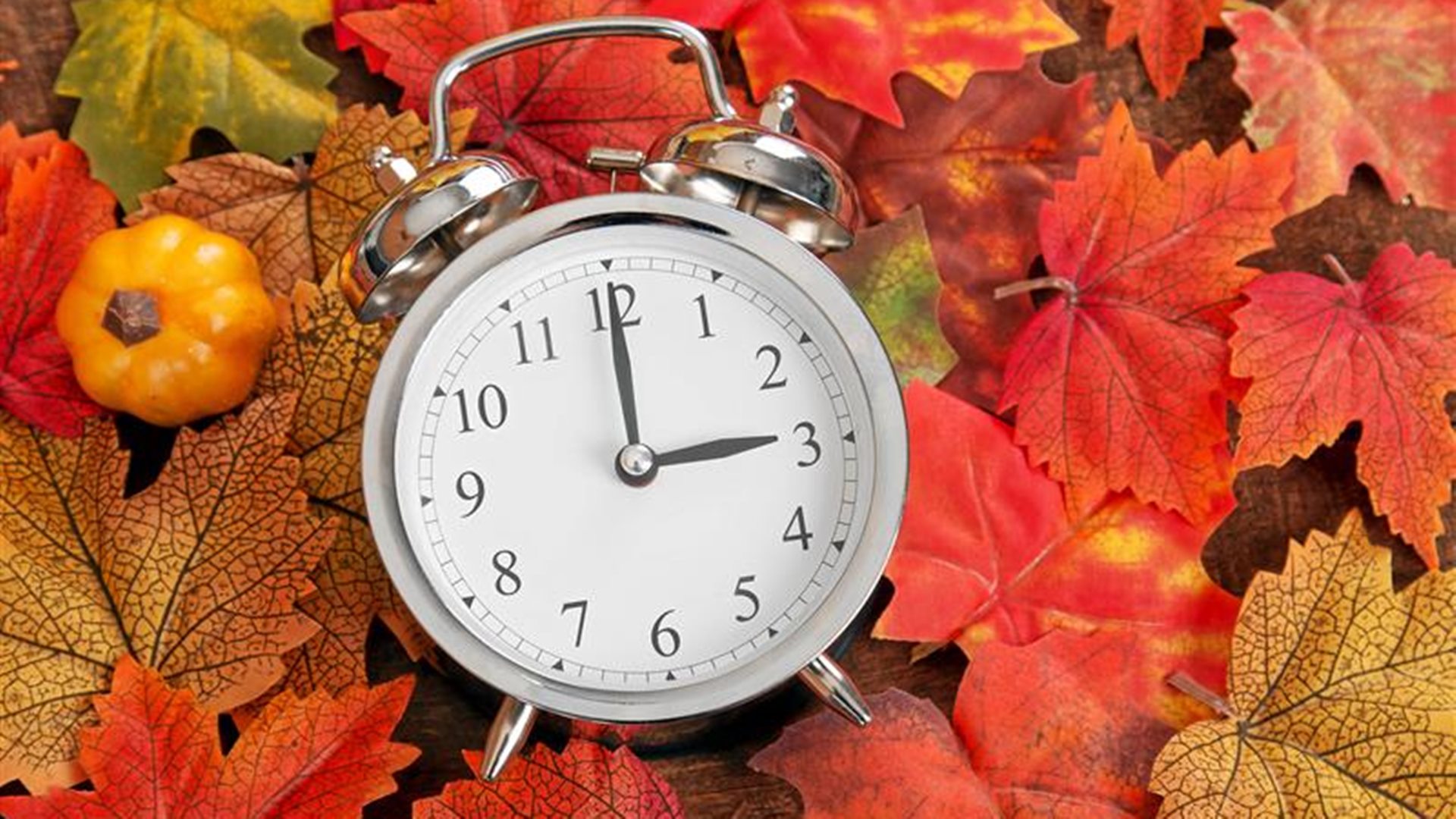 Polacy coraz częściej spóźniają się do pracy - sprawdzamy co to znaczy dla pracodawców