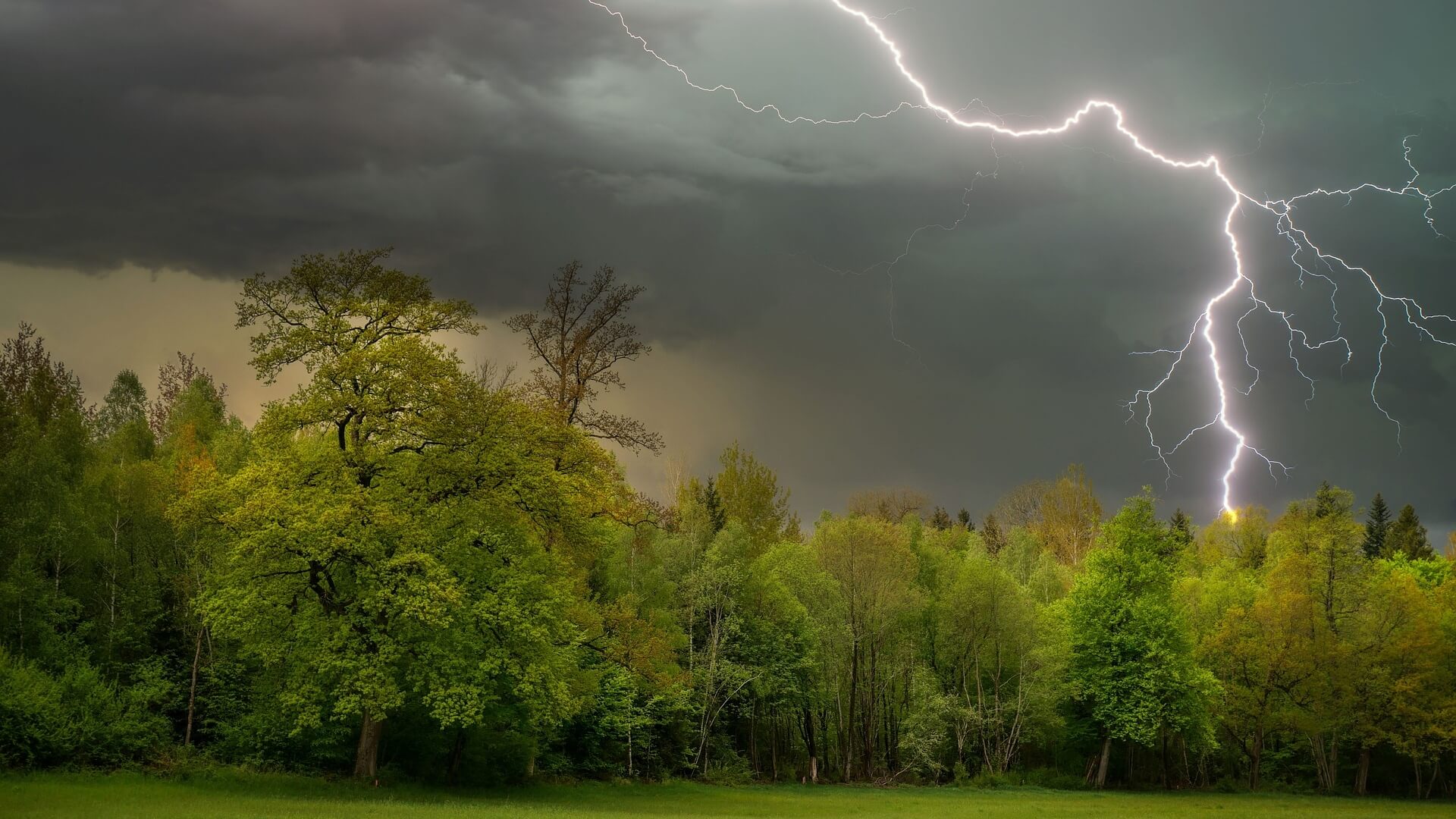 Niebezpieczna pogoda. IMGW ostrzega przed burzami i ulewami w woj. podlaskim