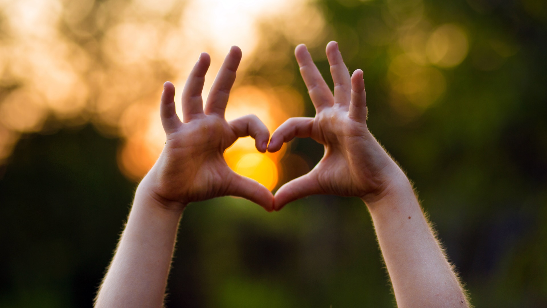 Walentynkowa Aukcja Charytatywna - jej cel to zakup bieżni rehabilitacyjnej