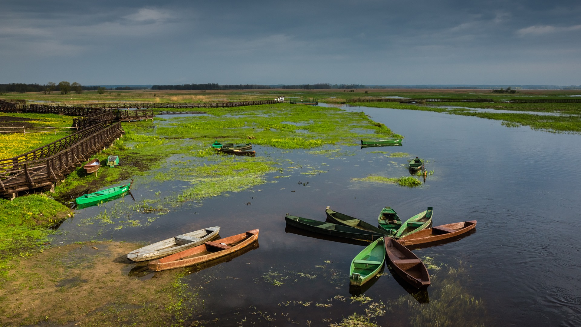Dyrektor Narwiańskiego Parku Narodowego Ryszard Modzelewski odchodzi na emeryturę