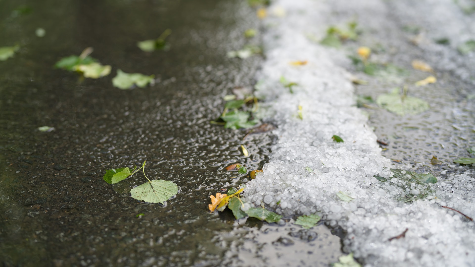 Zima jeszcze nie odpuszcza. Uwaga na silny wiatr i oblodzenia