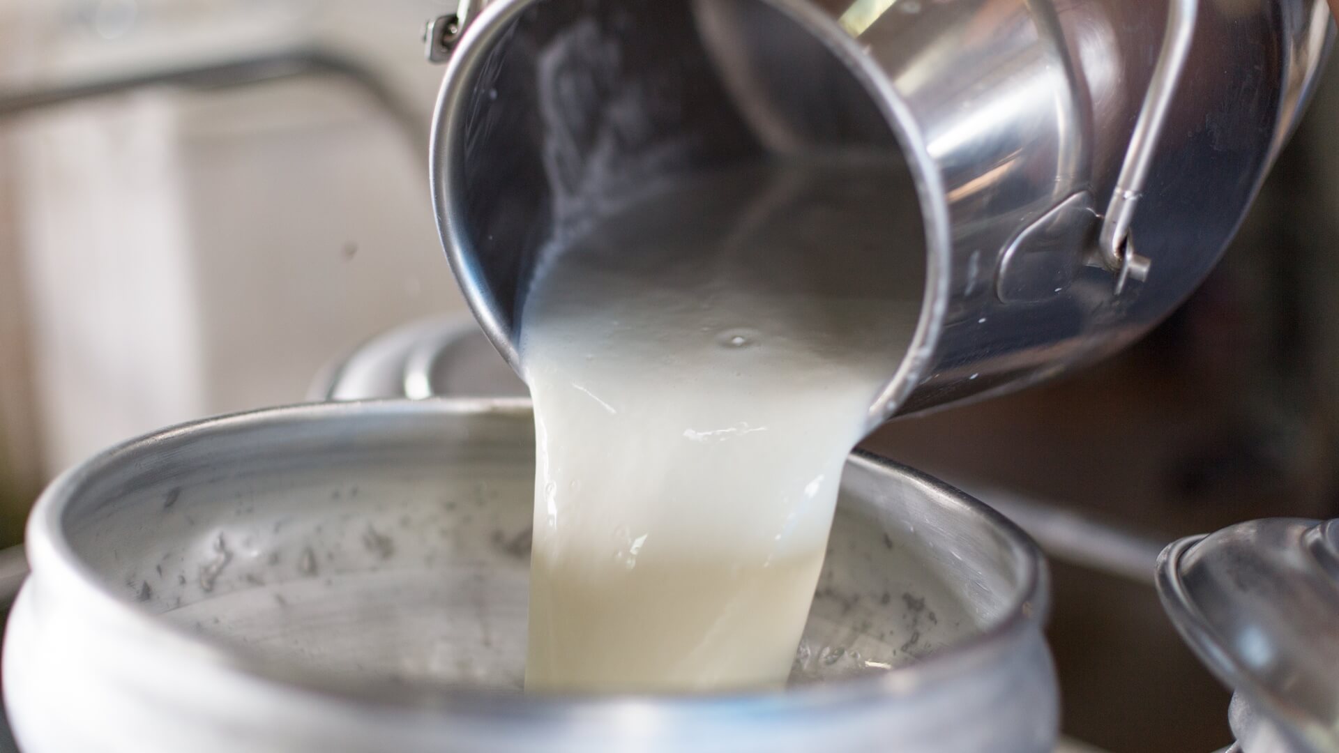 Polscy i ukraińscy przedstawiciele sektora mleczarskiego zwrócili się z apelem do rządów obu państw