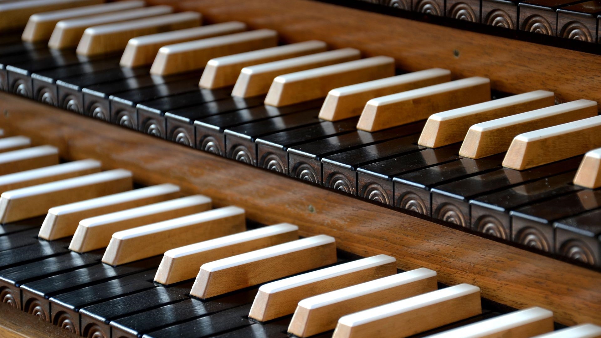 W pokamedulskim klasztorze w Wigrach będzie można dowiedzieć się wszystkiego o organach