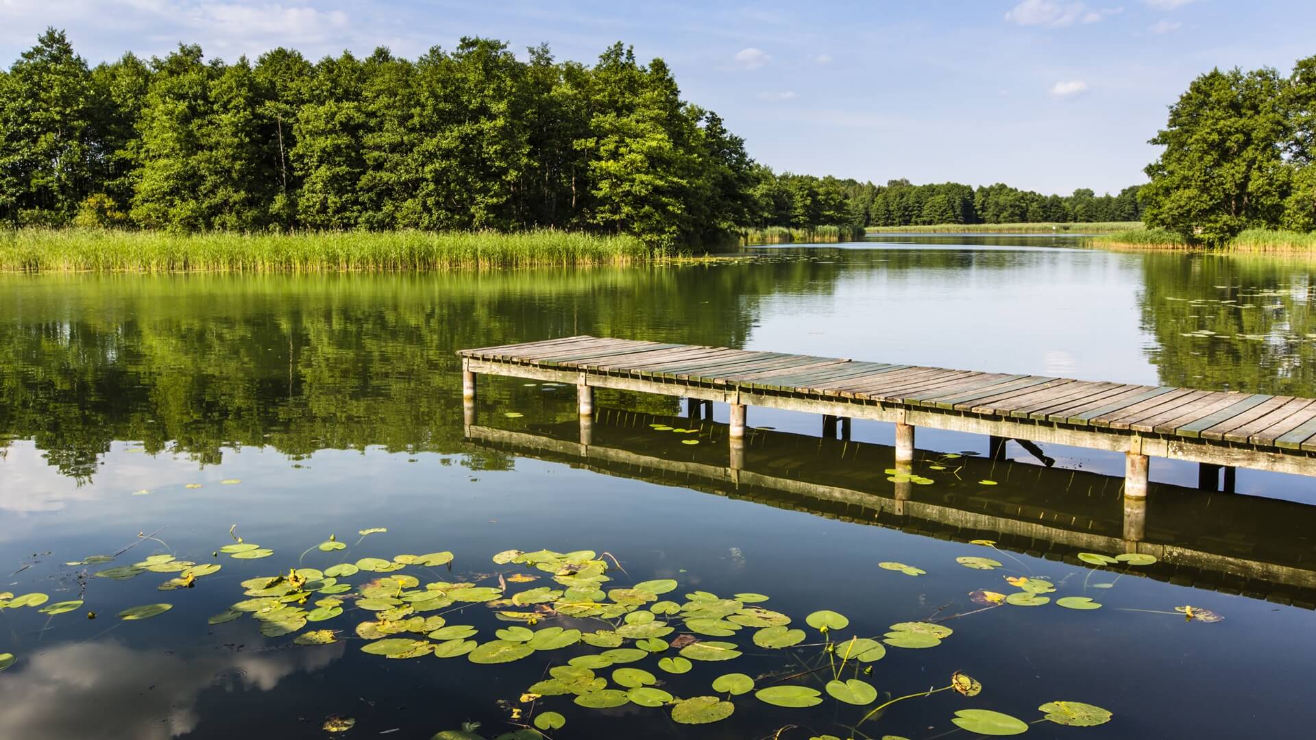 Semeniuk: odbudowa kapitału branży turystycznej potrwa 2-3 lata