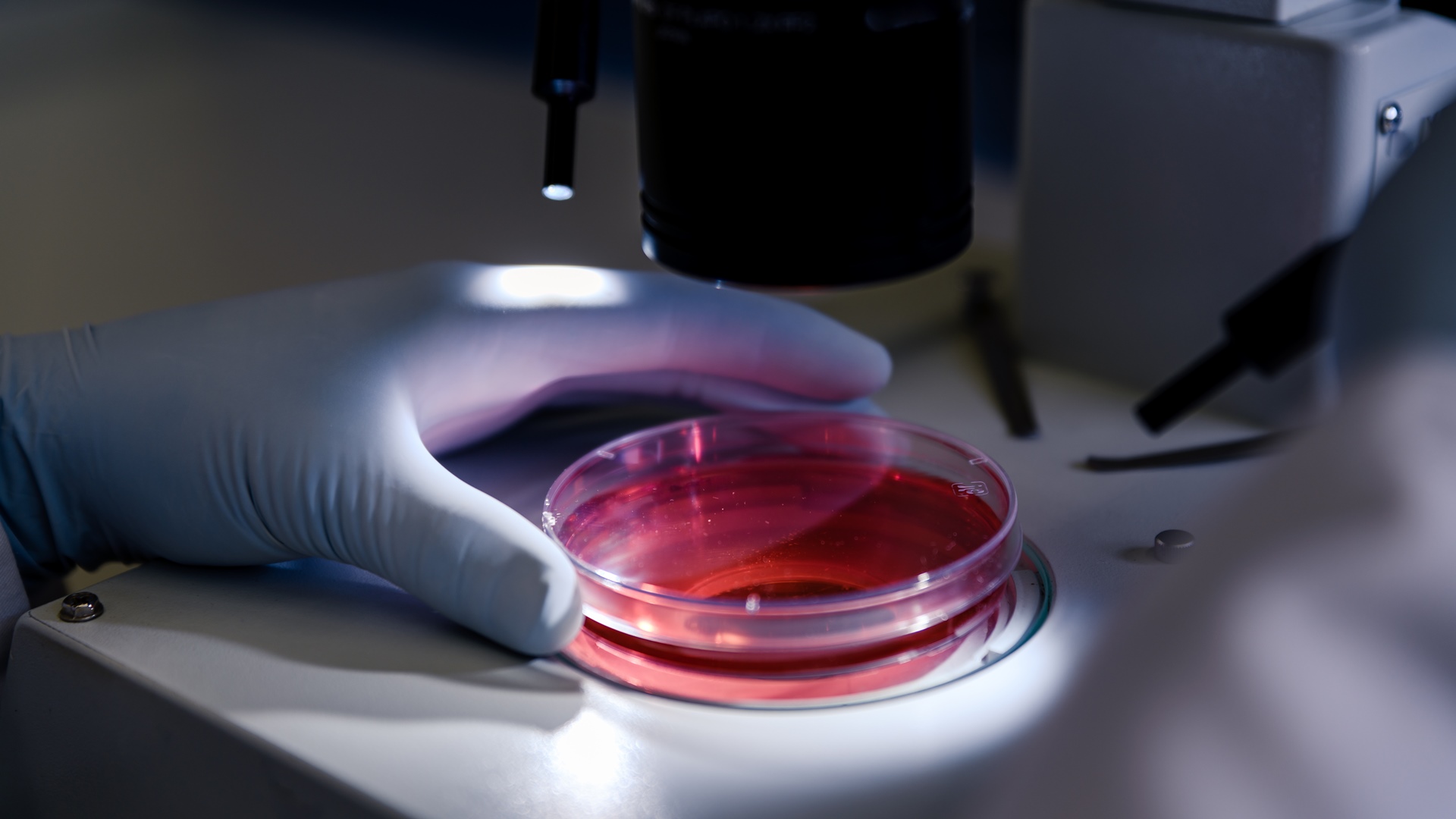 Naukowcy z Politechniki Białostockiej z dofinansowaniem na badania nad nowymi przeciwutleniaczami