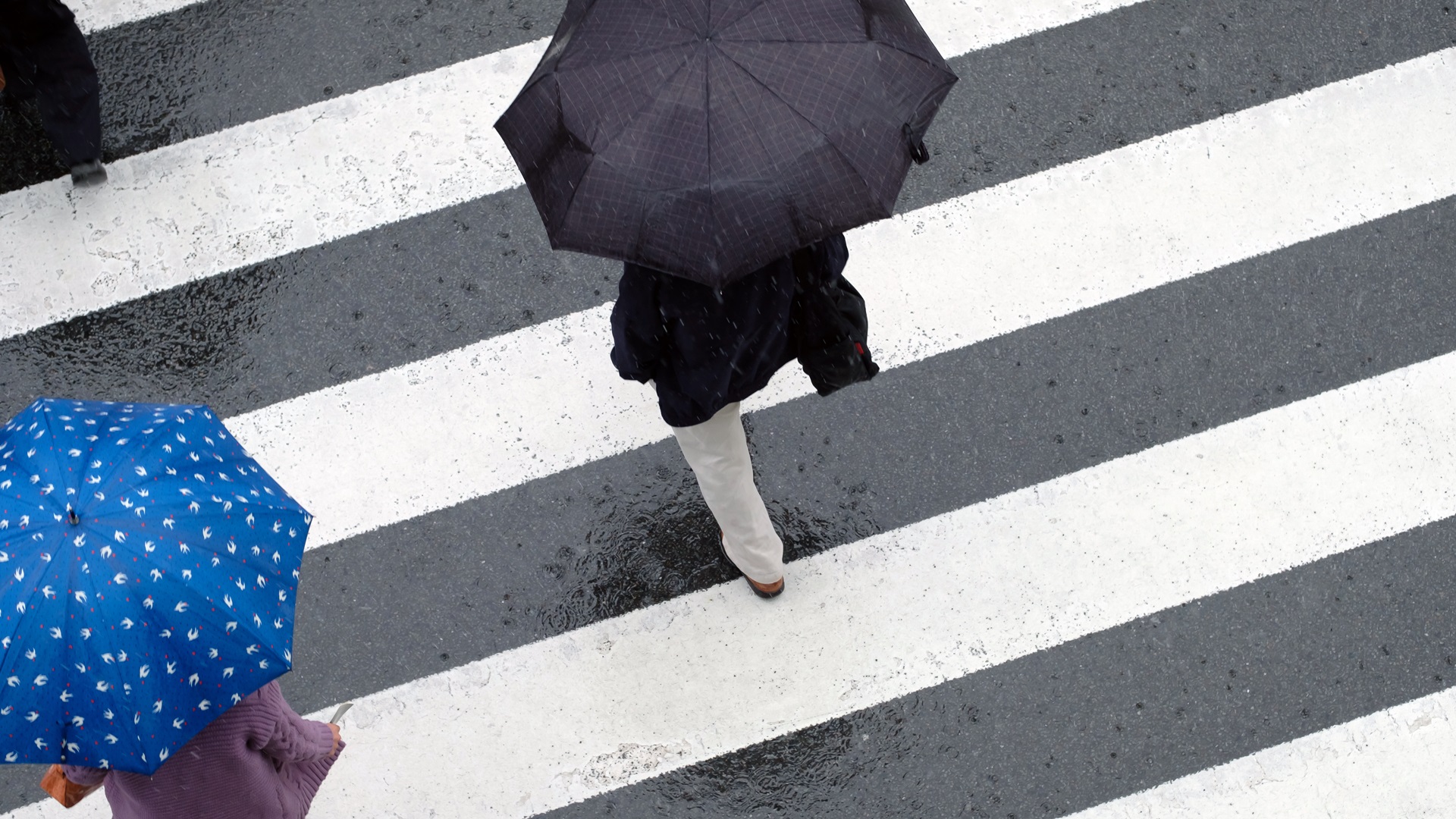 Przejścia dla pieszych w Suwałkach są niedostatecznie oświetlone