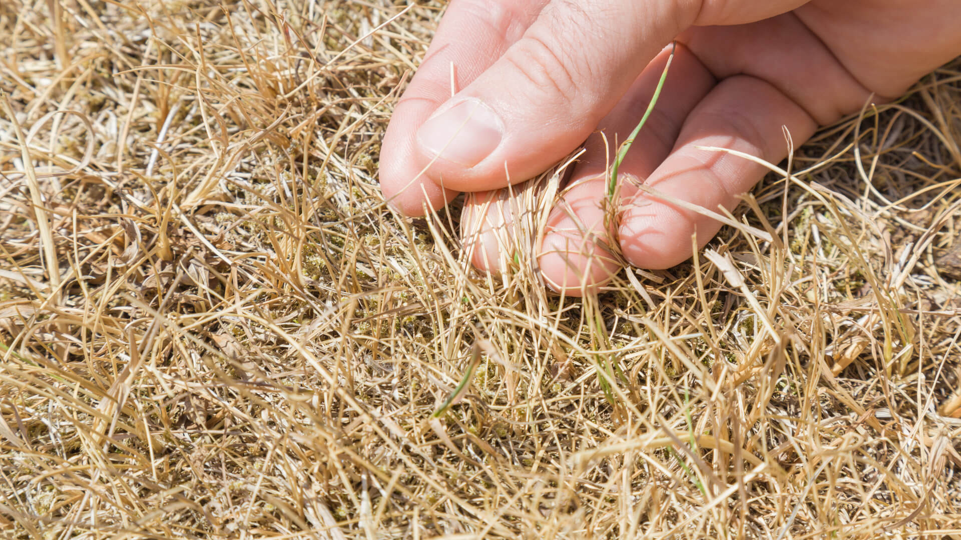 Litewskie władze zajmą się problemem rolników z Suwalszczyzny, którzy maja swoje pola na Litwie