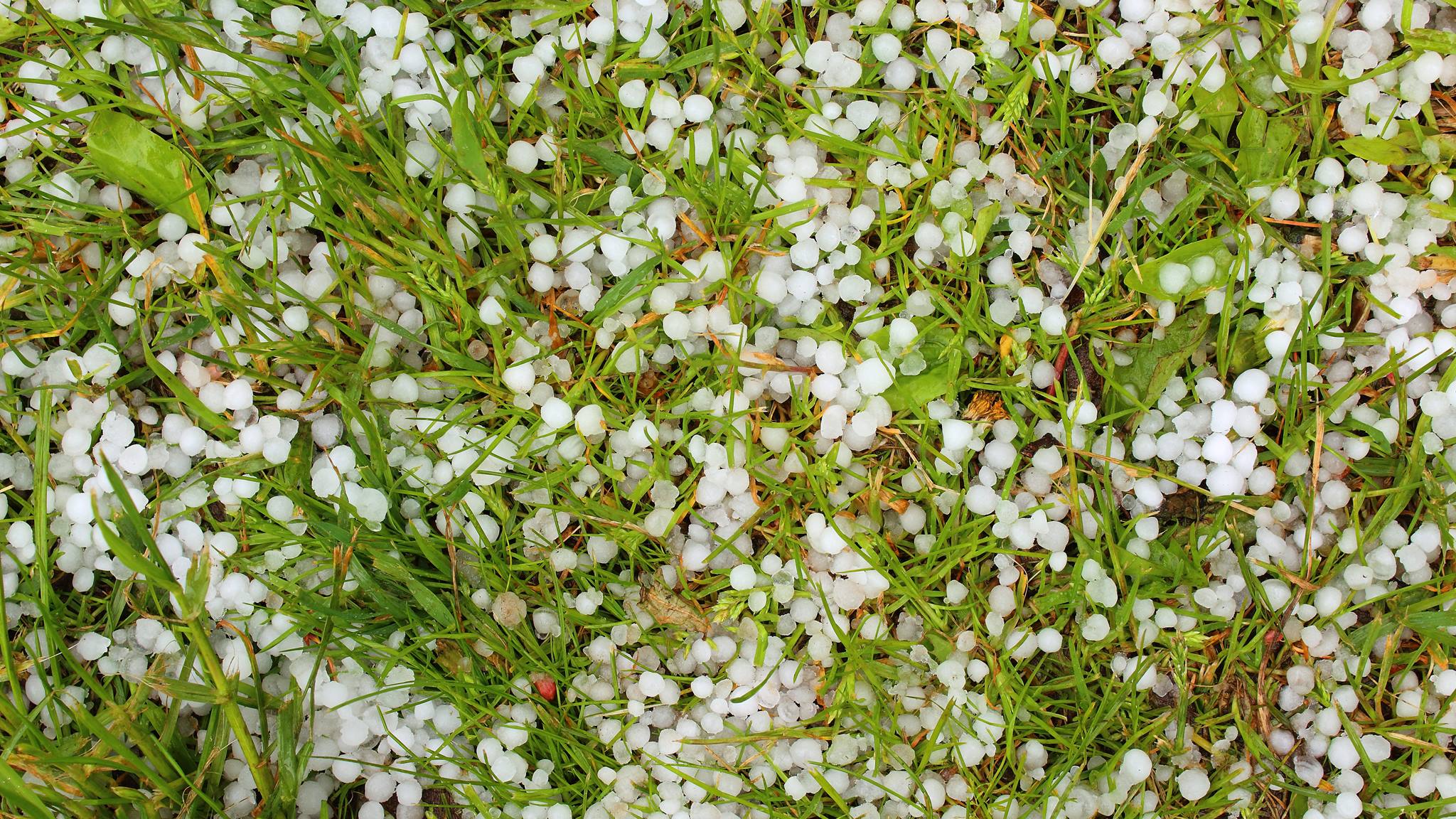 Podlascy synoptycy ostrzegają przed burzami z gradem