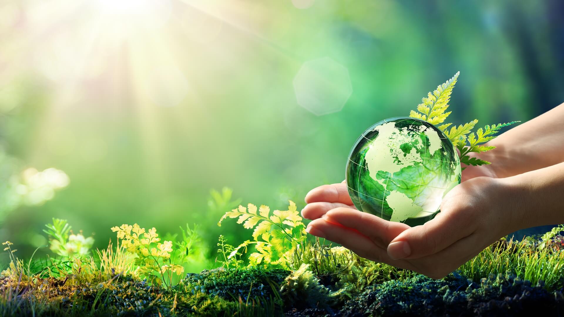 Białystok w czołówce pod względem działań proekologicznych