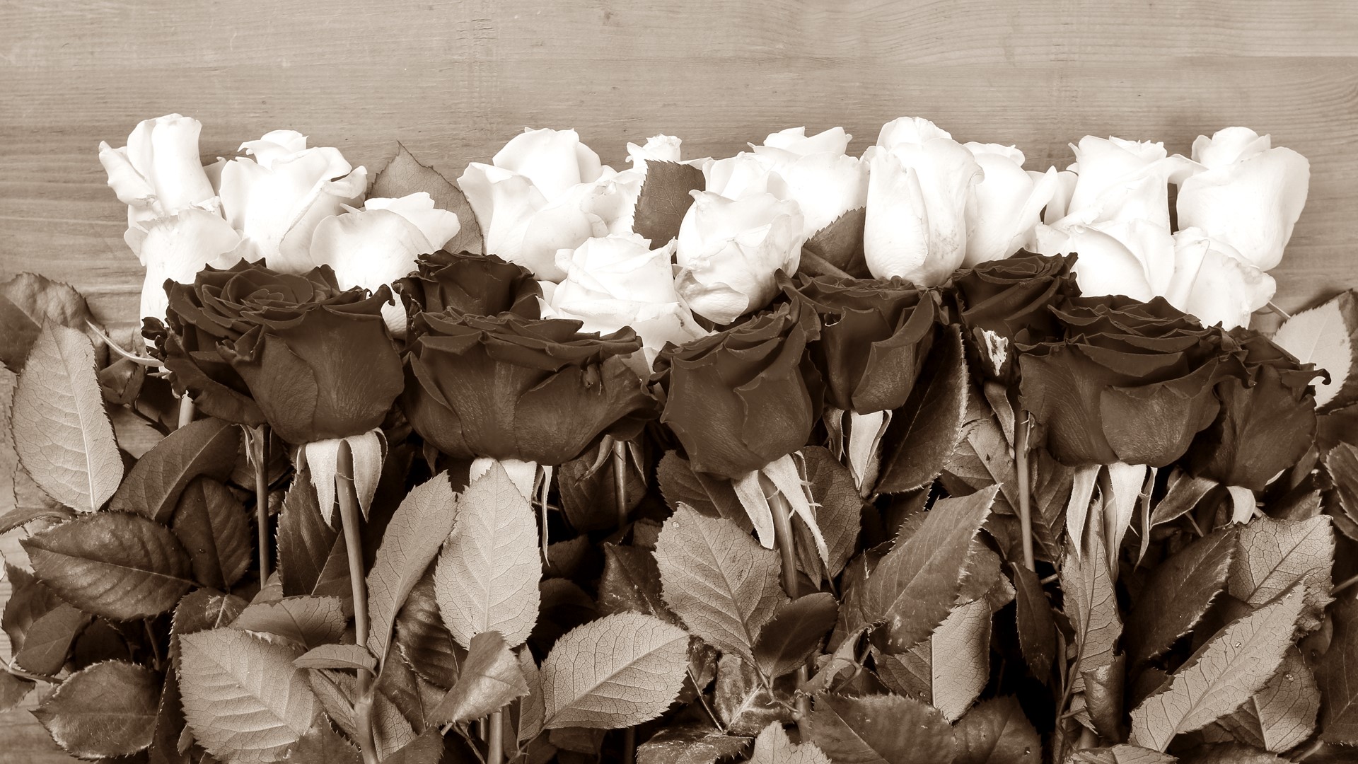 Czy z zabójstwa prezydenta Gdańska ktoś wyciągnie wnioski? - felieton Tomasza Kubaszewskiego