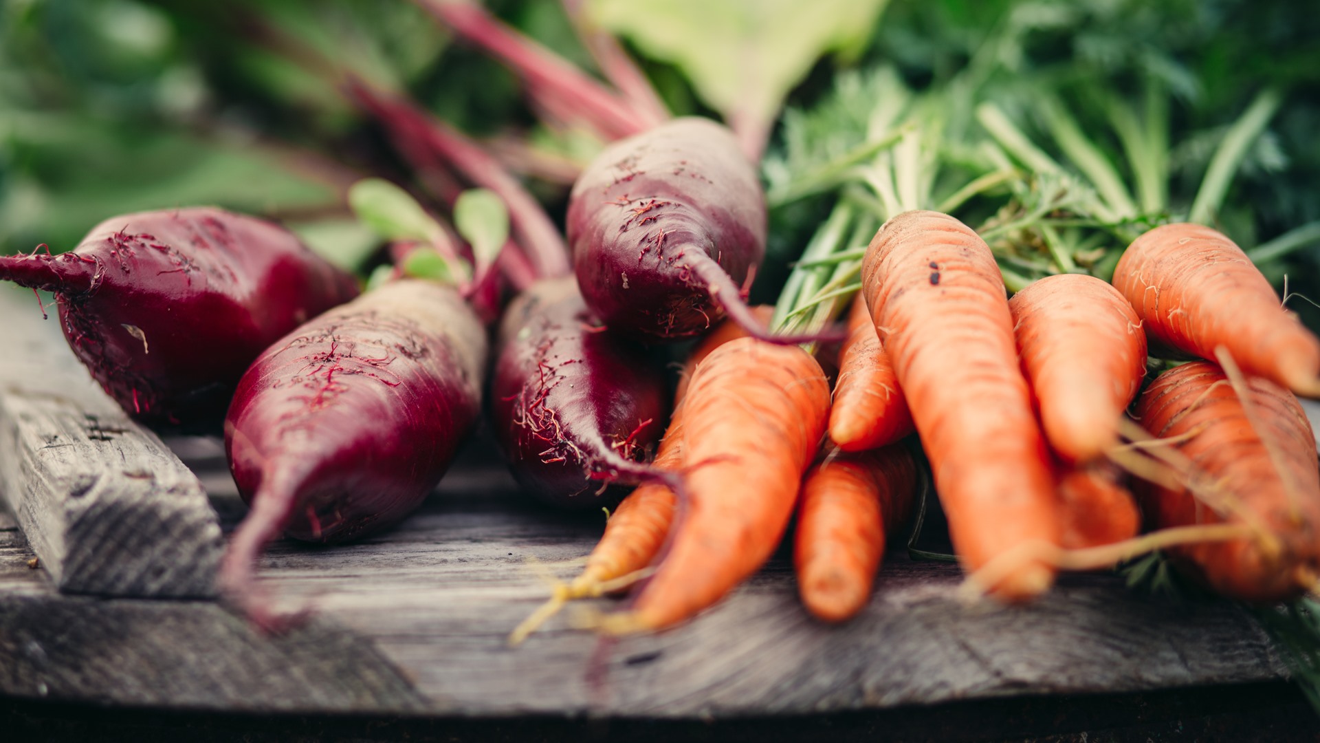W Białymstoku na razie nie będzie kolejnych miejskich targowisk