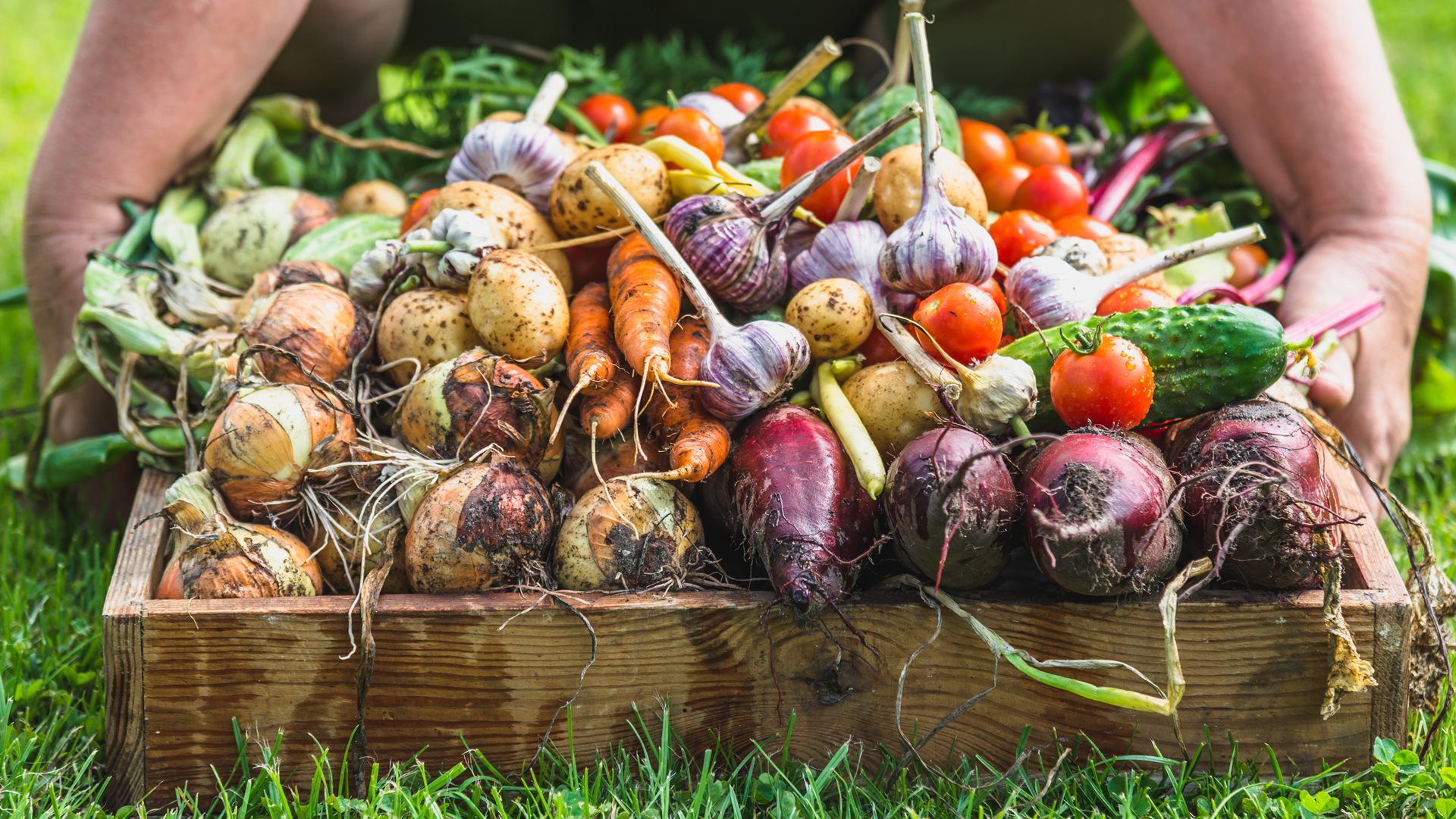 W sobotę rozpoczyna się Festiwal Ekologiczny Eko Wizja