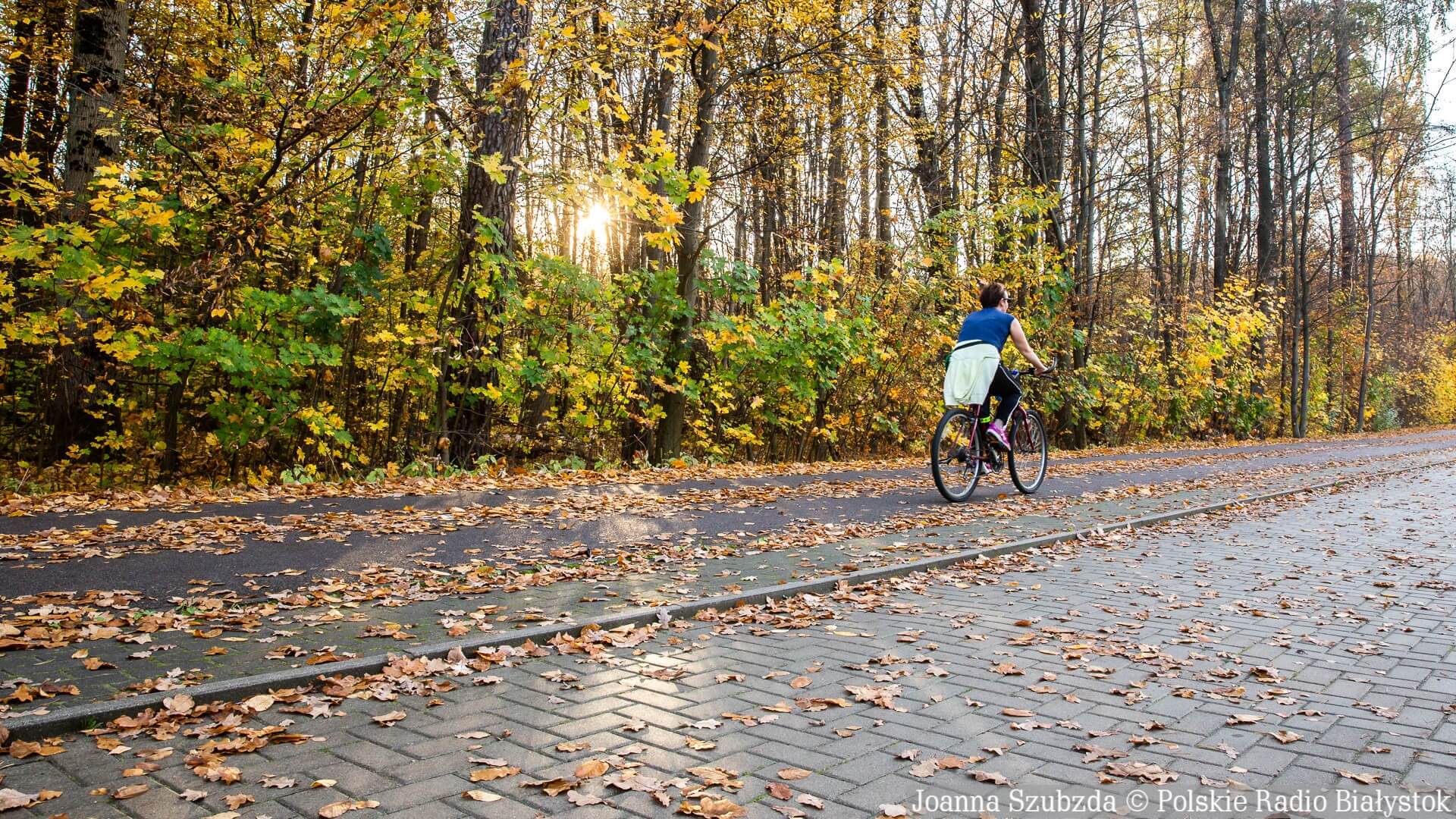 Białostoczanie coraz chętniej kupują rowery