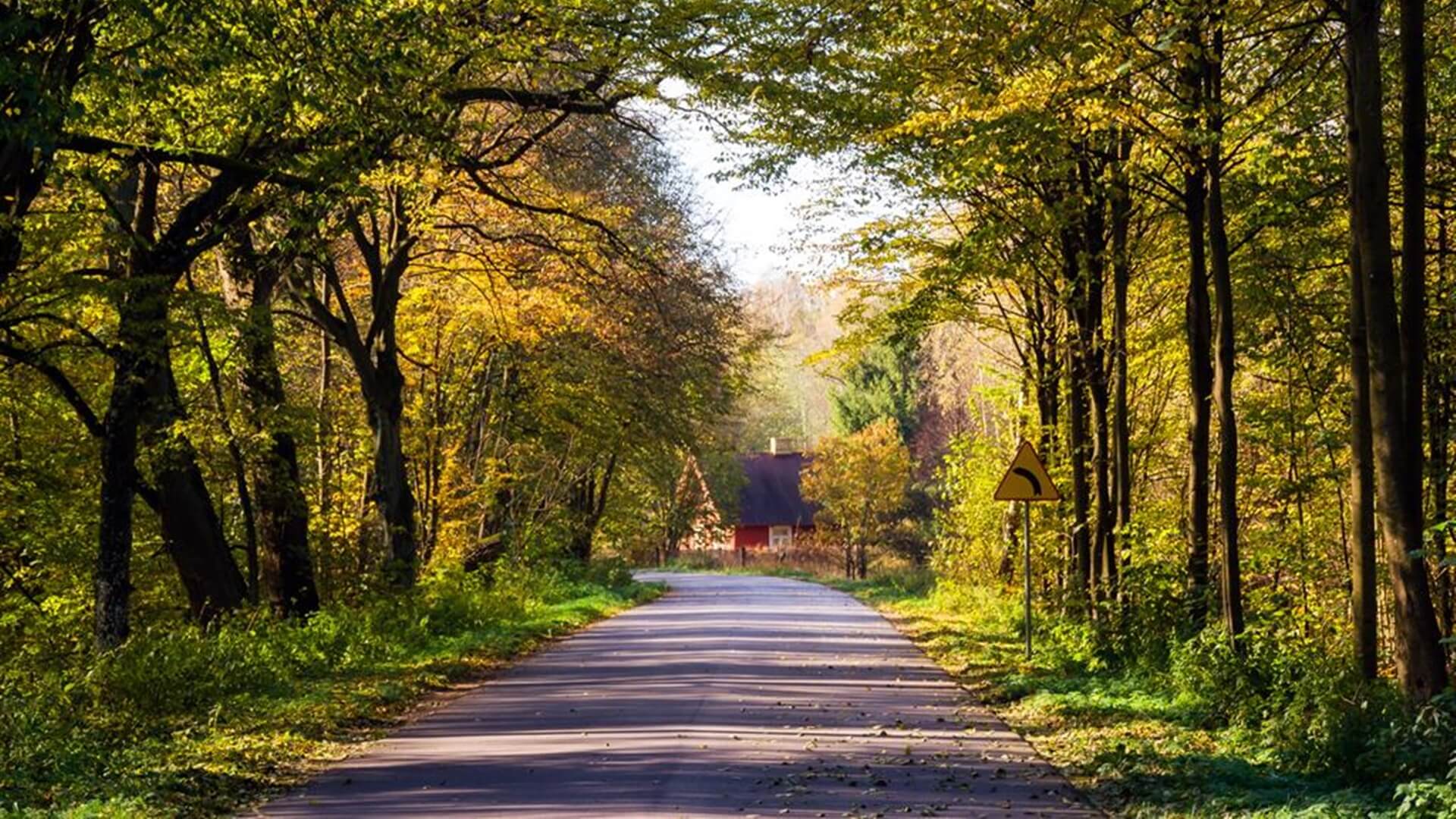 W okolice Goniądza i Biebrzy przyjechali turyści z całej Polski