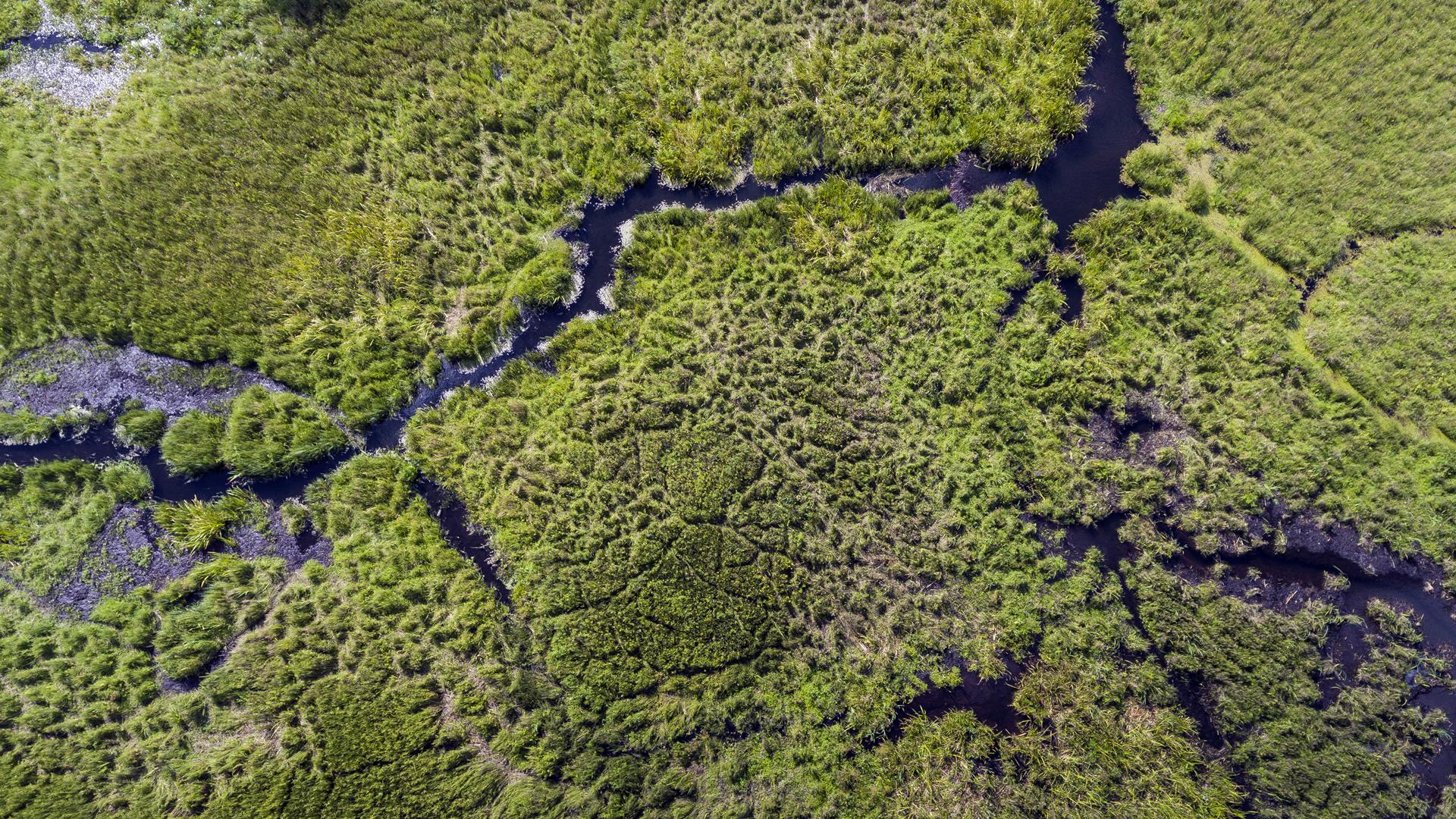 Wszyscy chętni mają okazję posprzątać Czarną Hańczę