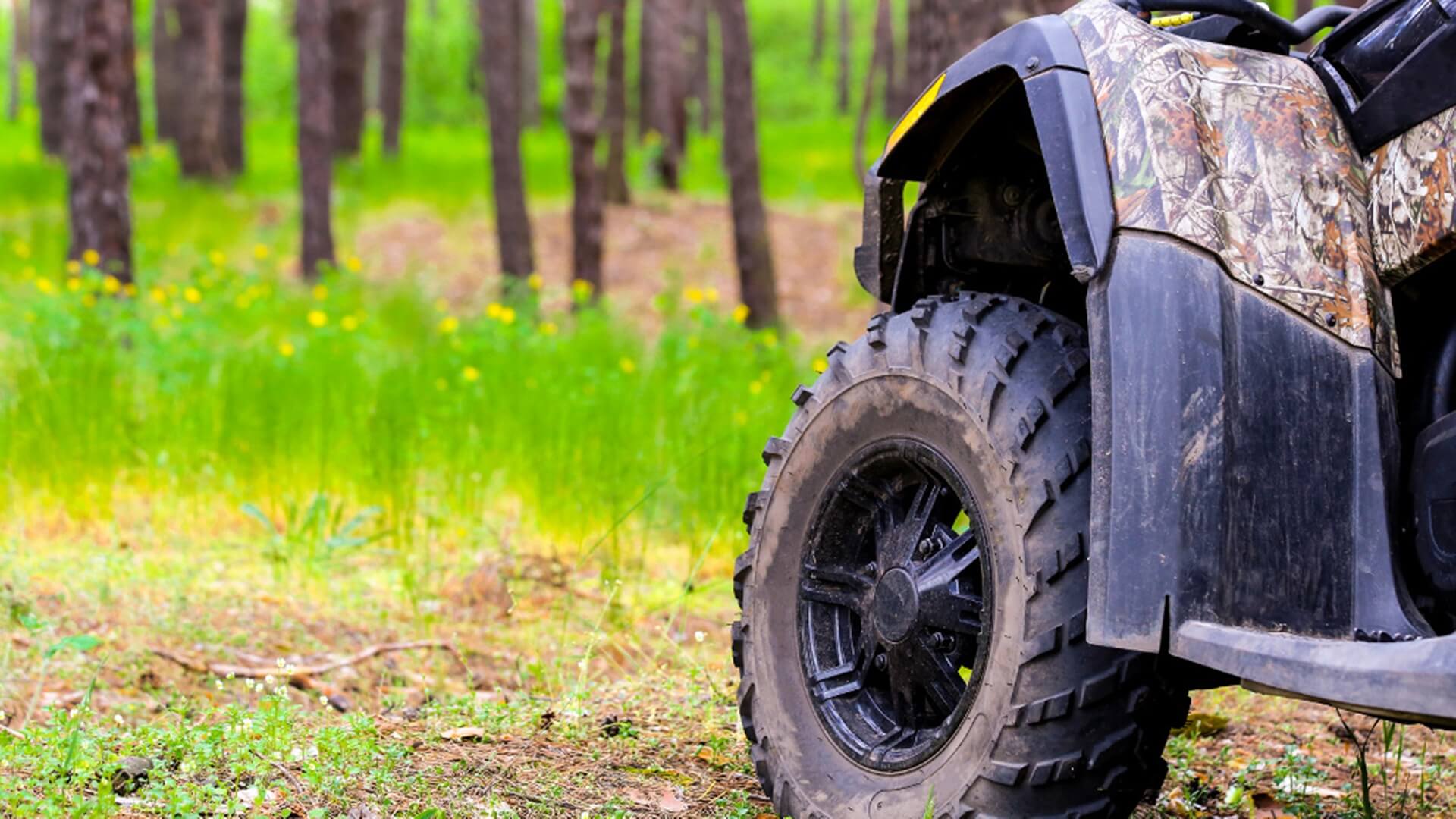 Augustowscy leśnicy apelują o nieorganizowanie rajdów w lasach