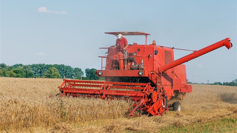 Trudne warunki tegorocznych żniw 03.08.2025