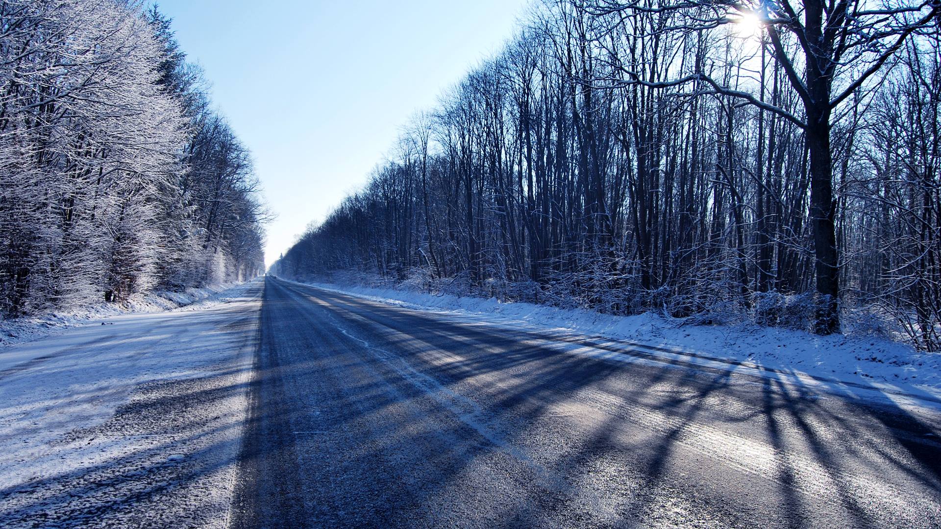 Drogowcy szukają projektantów, którzy opracują wstępny plan przebudowy trasy Augustów-Sztabin-Suchowola