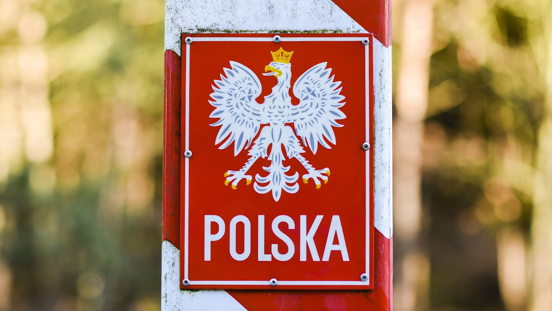 Emilewicz: po 15 czerwca będzie możliwe otwarcie granic