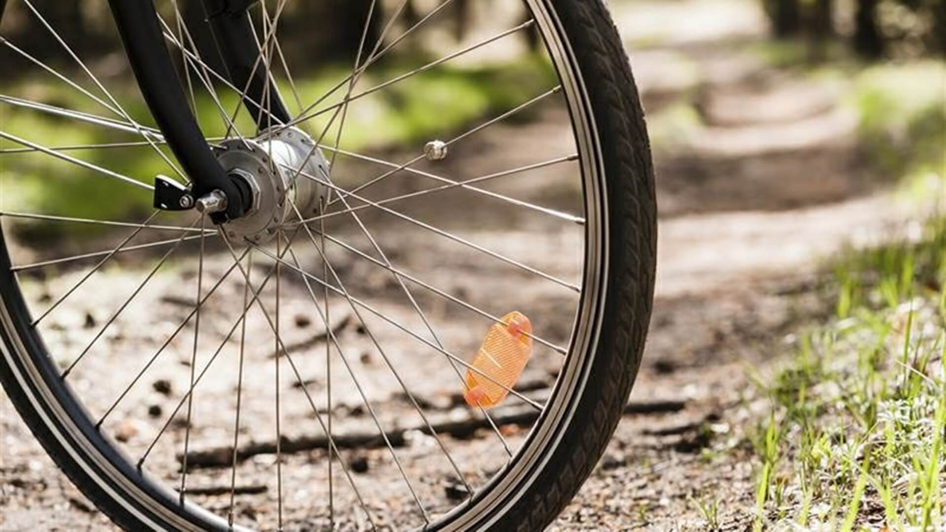 Będzie można pojeździć rowerem po Jesionowej Górze na pikniku w Szelmencie