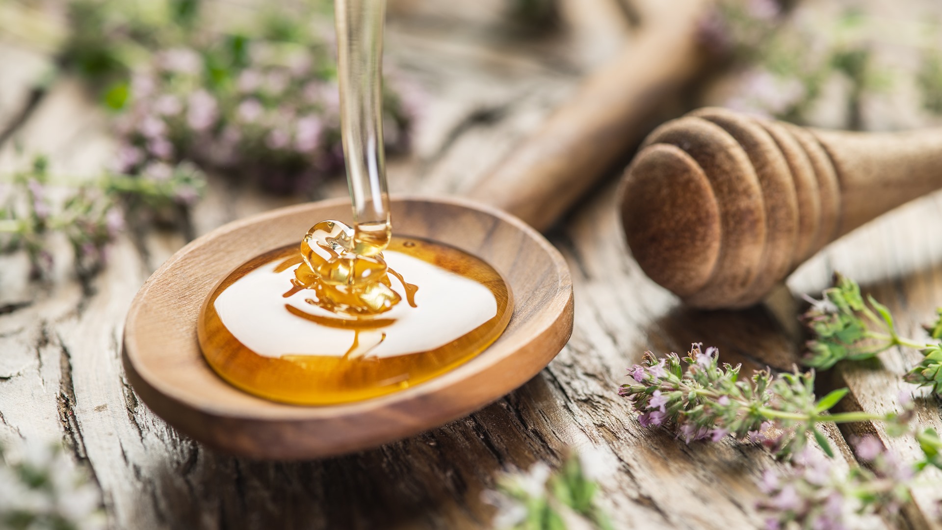 Mniam, mniam, czyli pyszna Suwalszczyzna - Miód