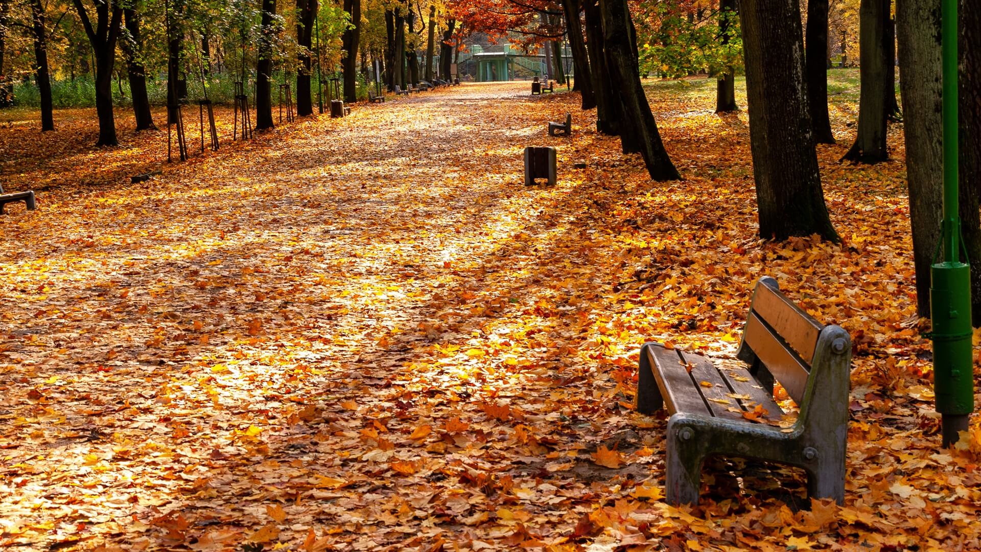 Koniec lata i początek jesieni
