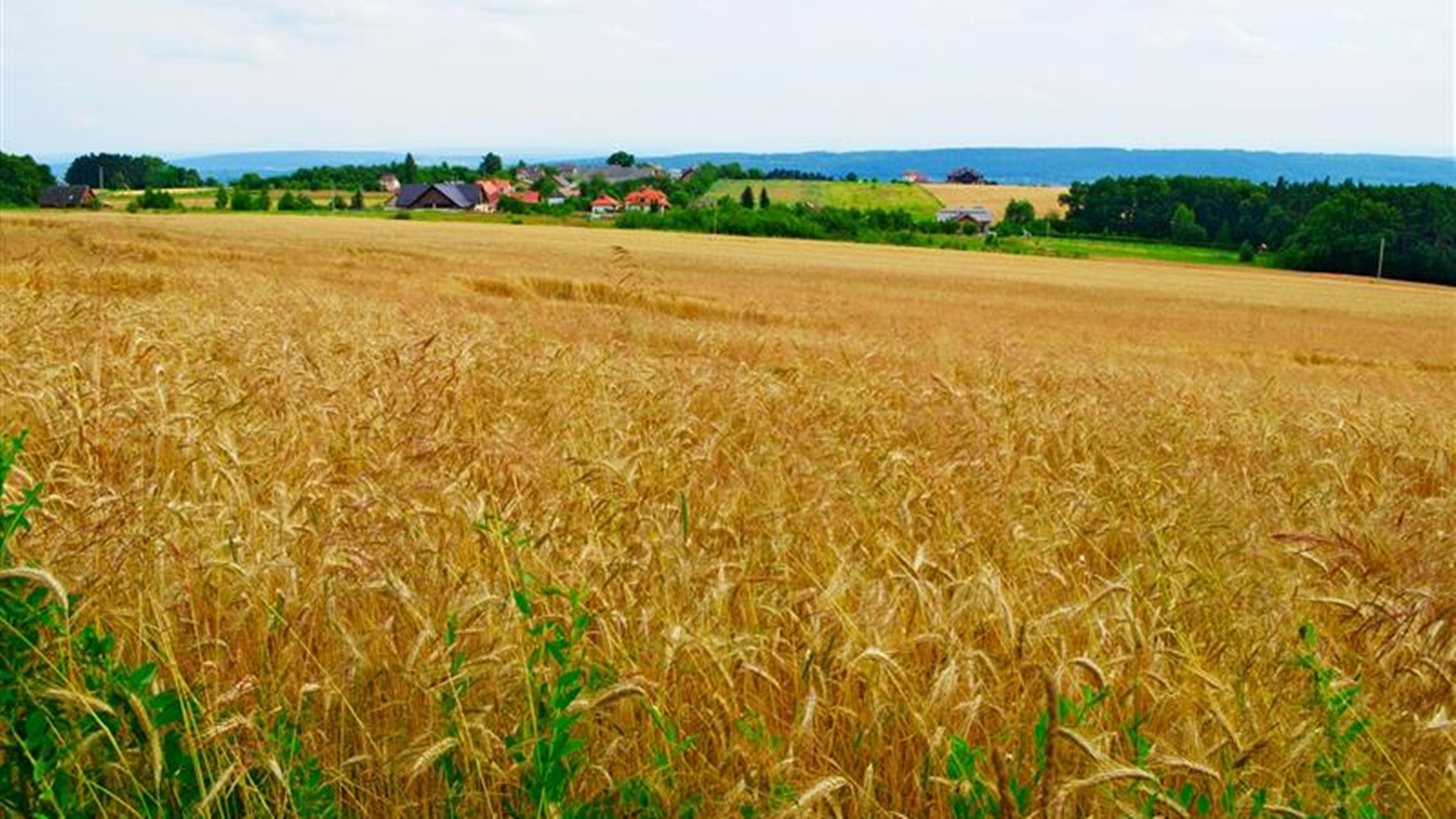 Rolnicy będą mogli starać się o dotację na poprawę jakości ich gleb poprzez wapnowanie