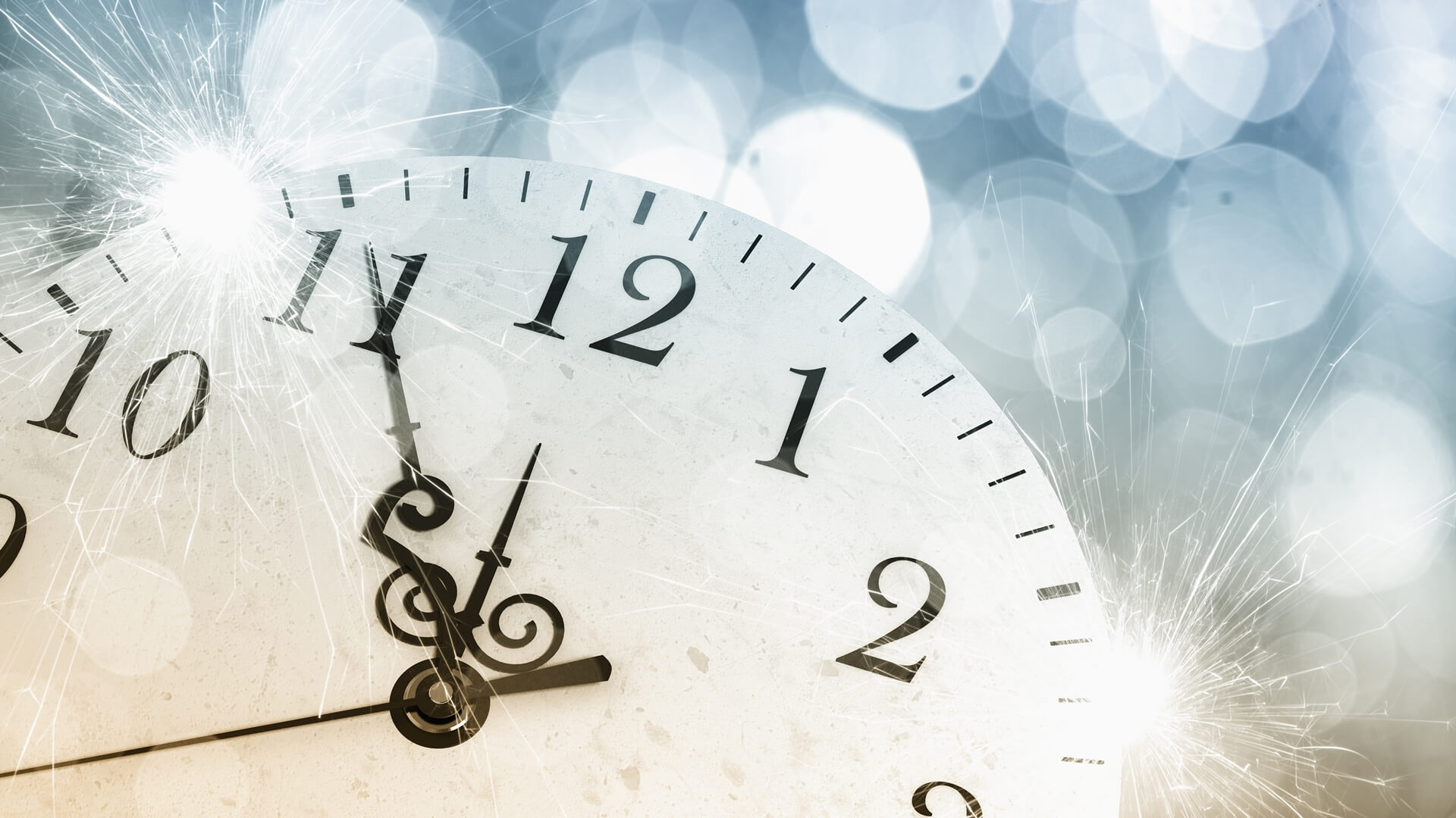 Sylwester w Sokółce bez fajerwerków - za to ze zbiórką na rzecz schroniska dla zwierząt