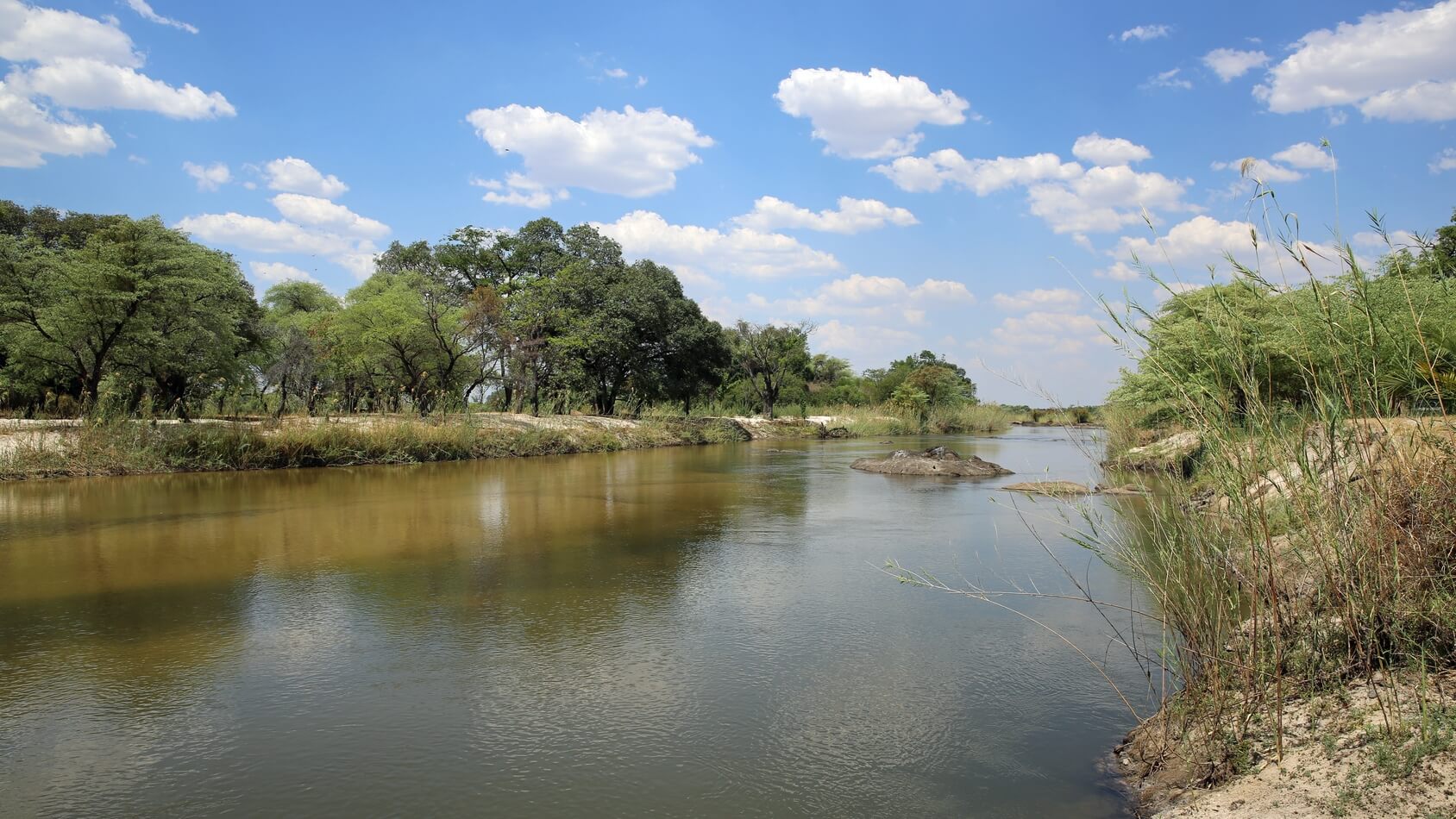 Wody w Biebrzy ubywa z każdym kolejnym dniem upałów