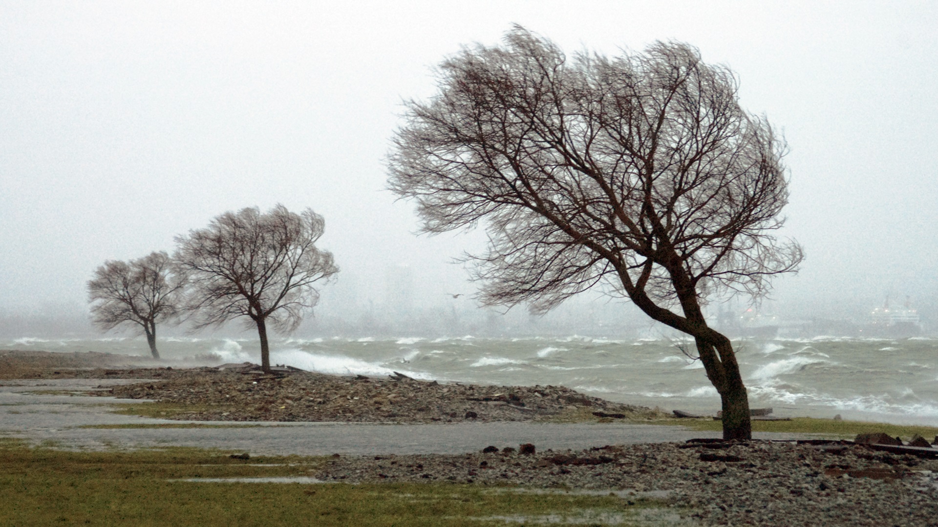 Silny wiatr w Podlaskiem - strażacy interweniowali kilkadziesiąt razy