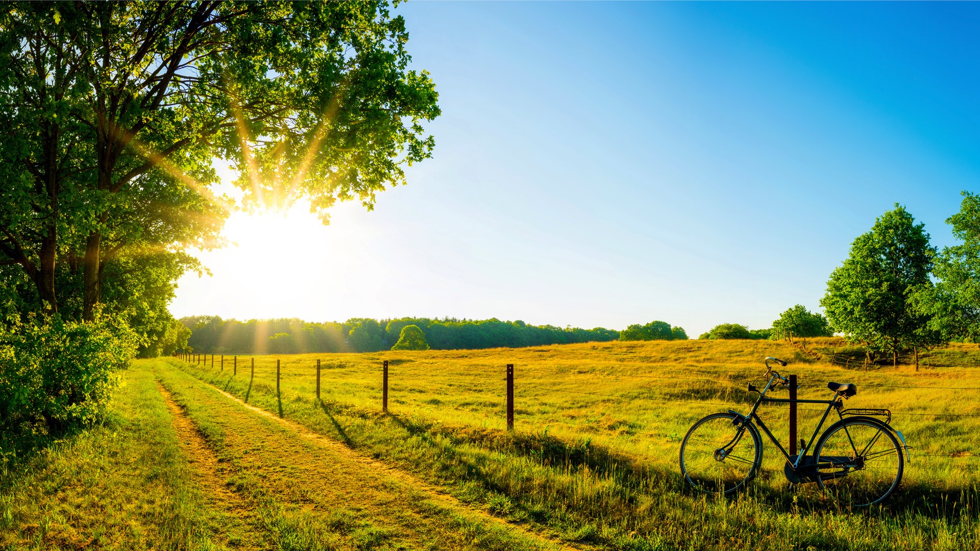 Po rocznej przerwie wracają wycieczki szkolne - głównym celem dobra zabawa i integracja